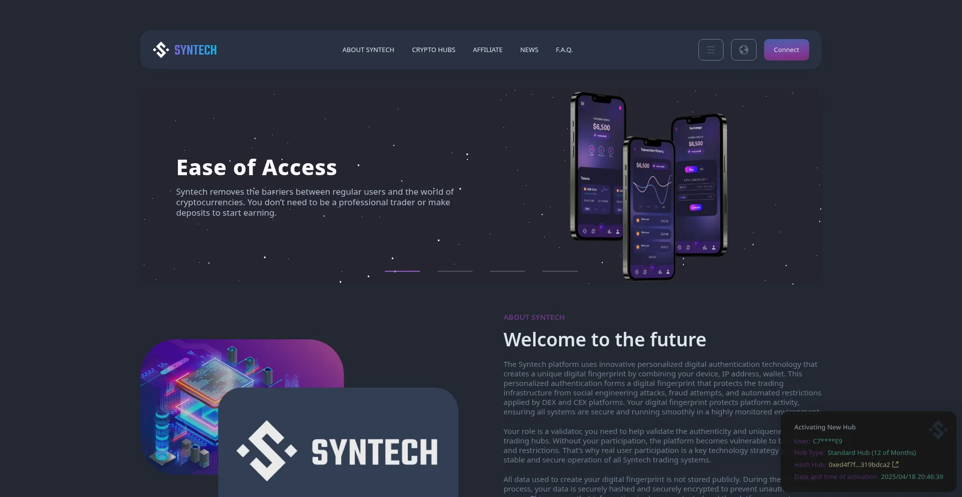 Website screenshot of Syntech.network