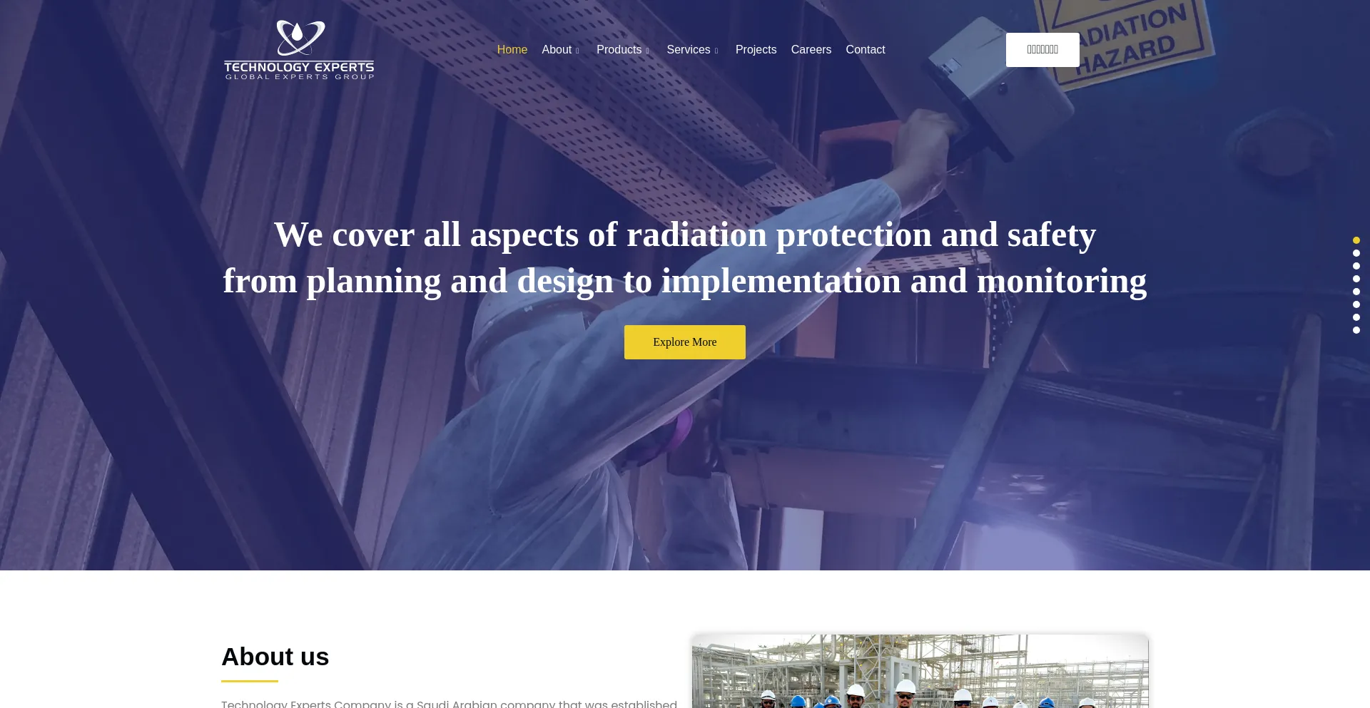 Website screenshot of T-experts.com