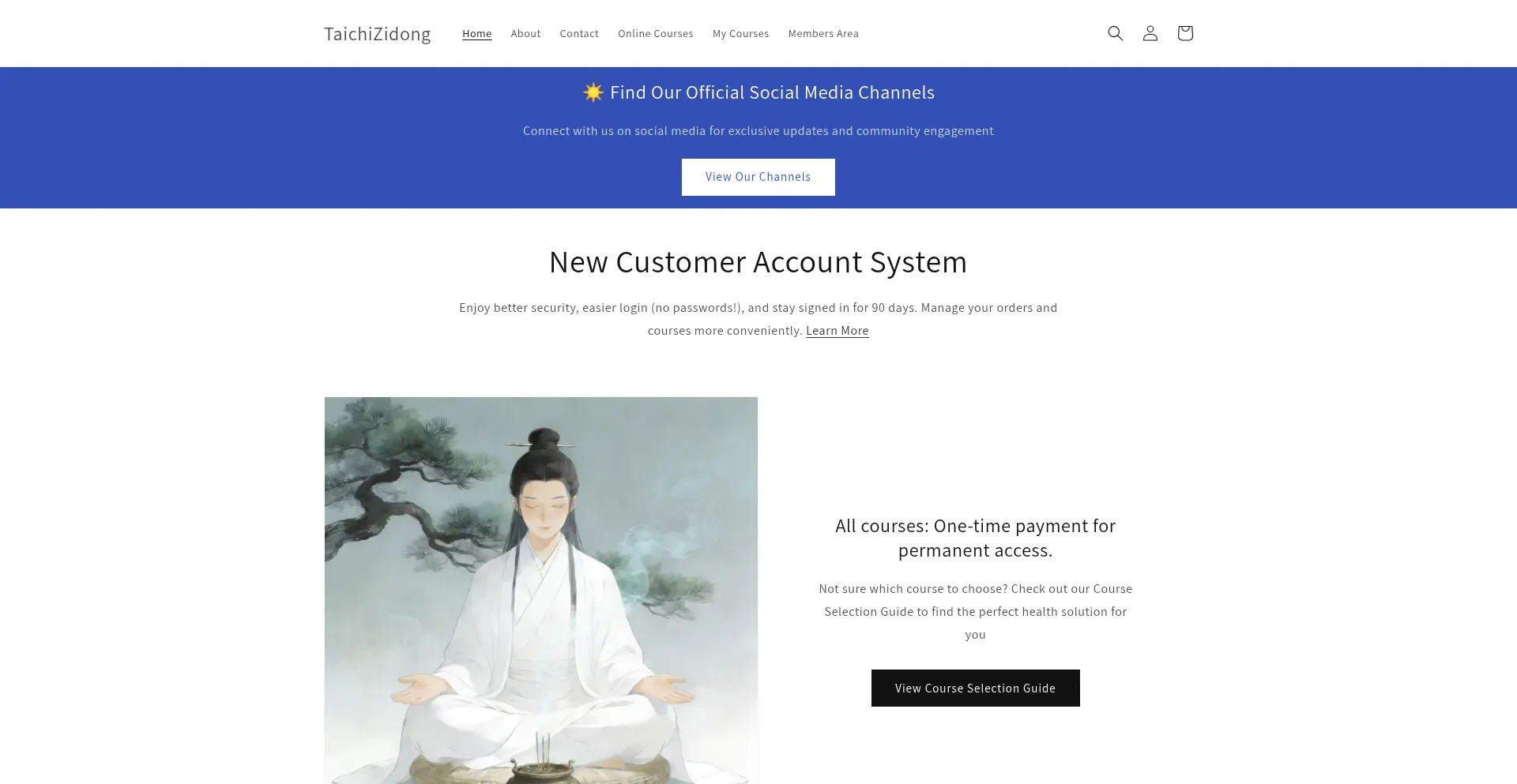 Taichizidong.com