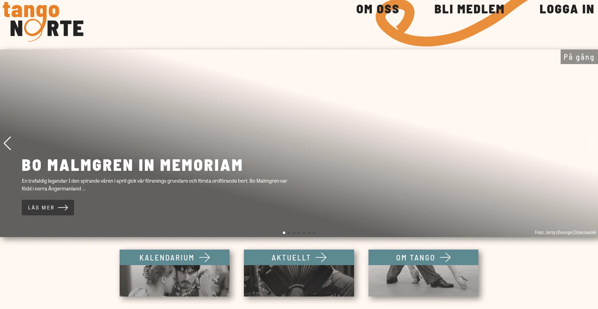 Website screenshot of Tangonorte.com