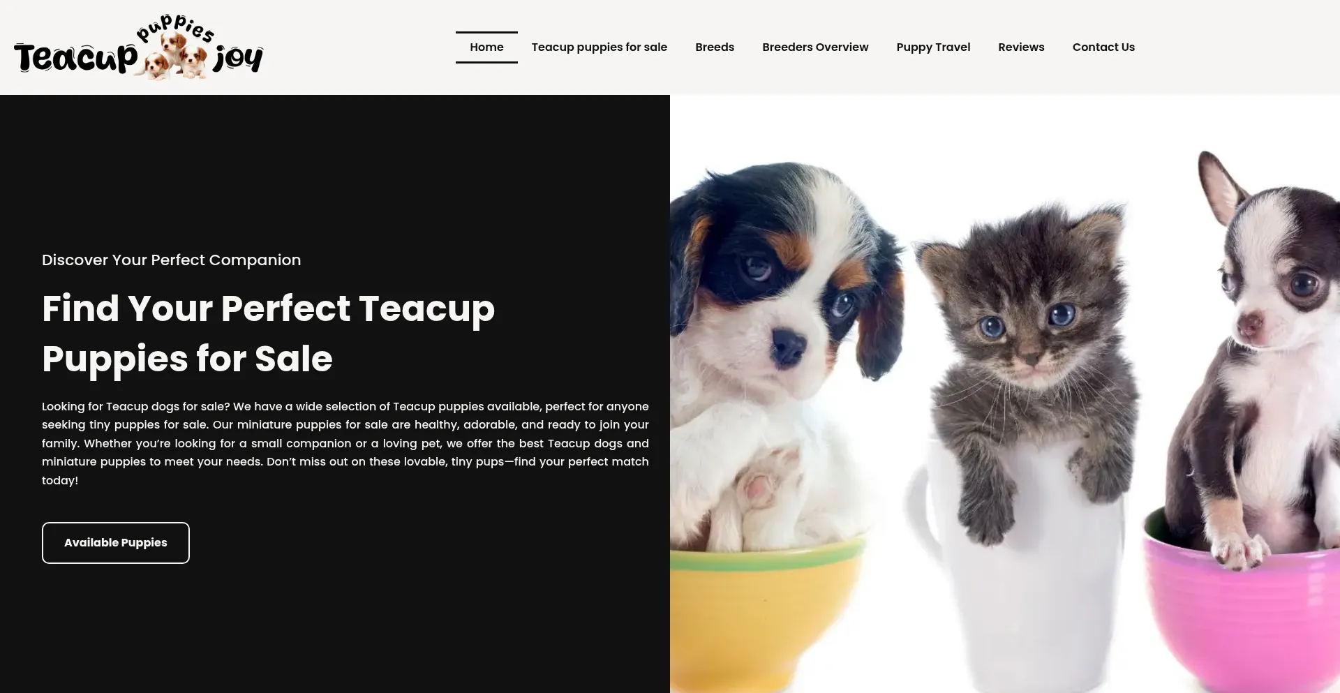 Teacuppuppiesjoy.com