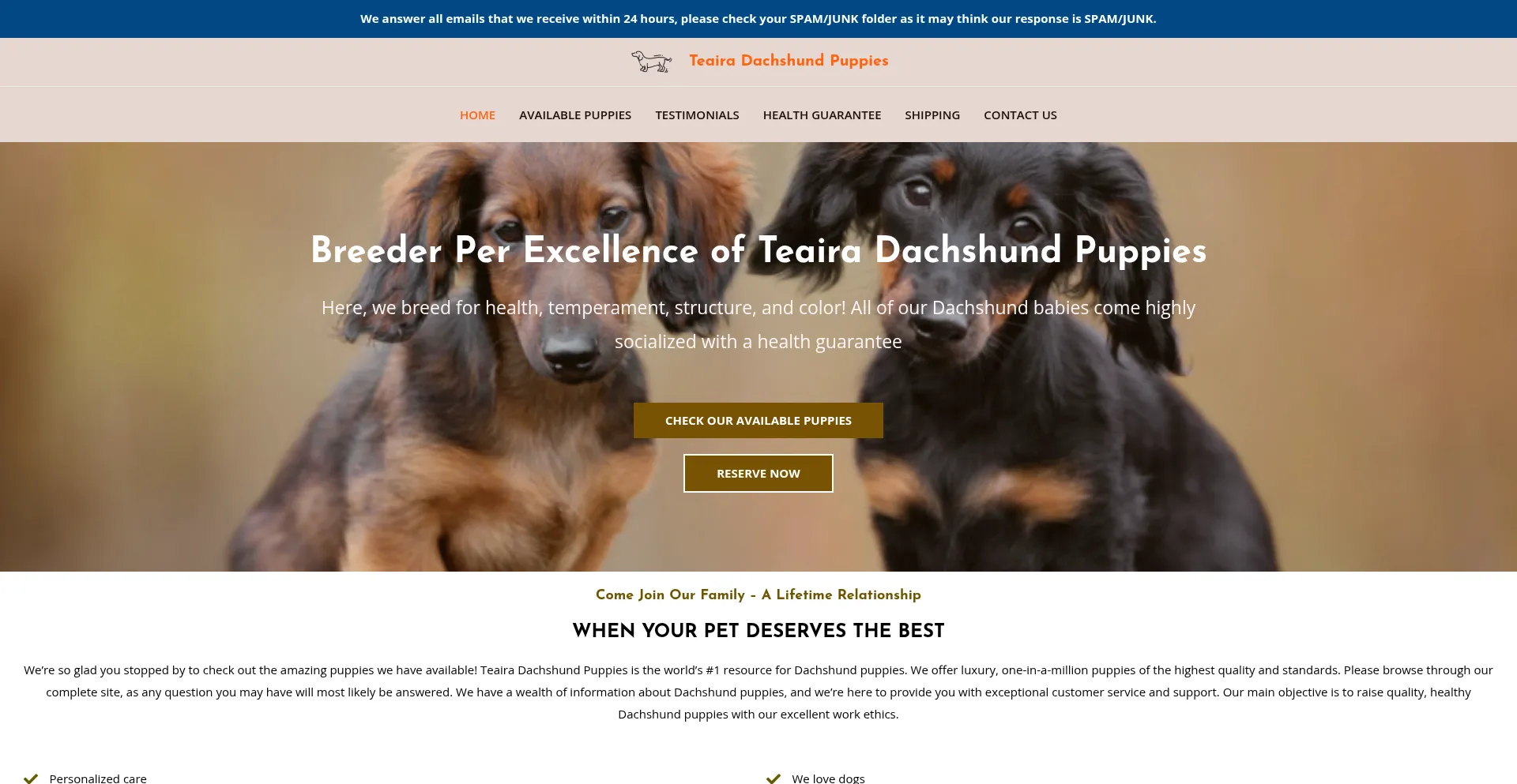 Website screenshot of Teairadachshundpuppies.com