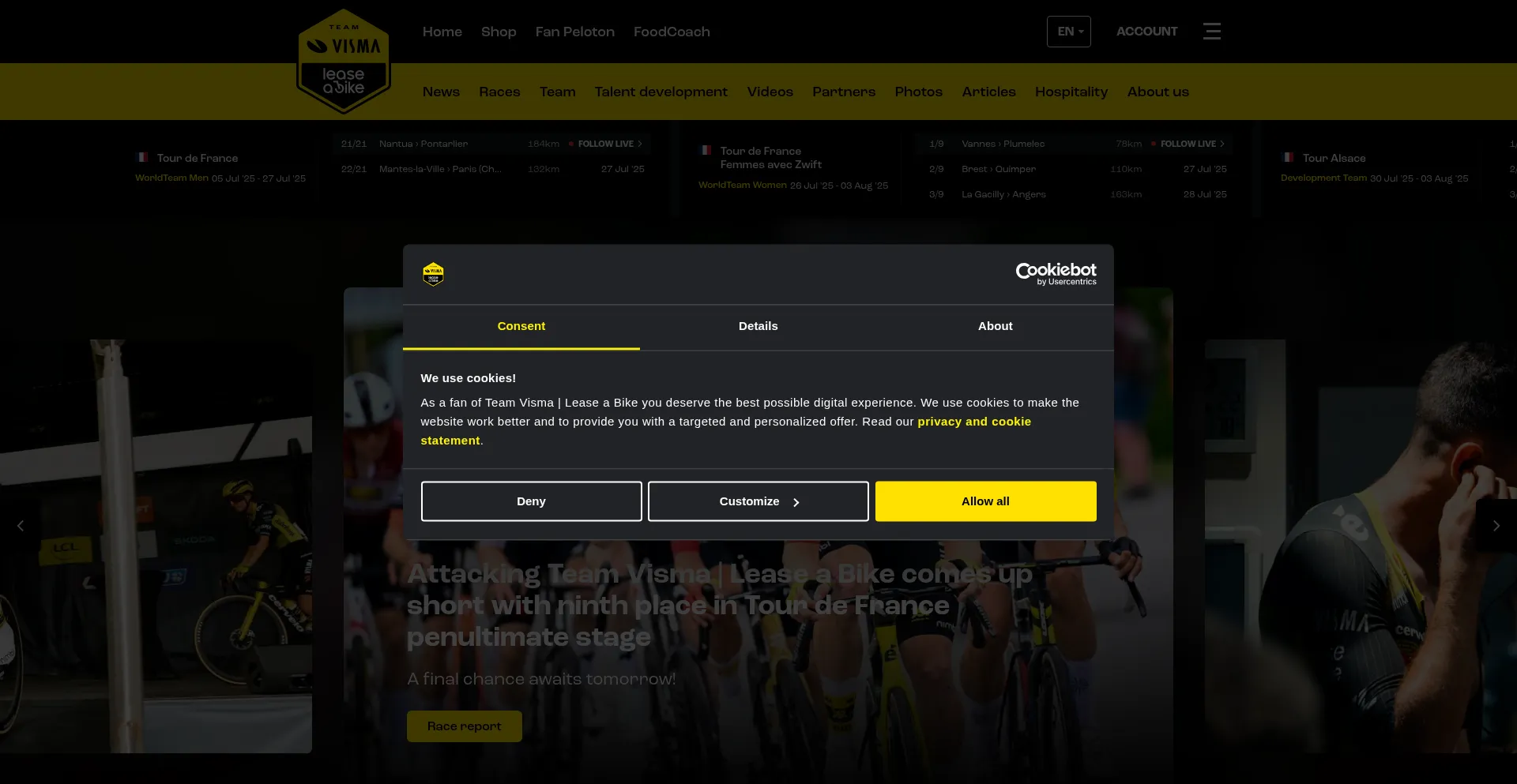 Website screenshot of Teamvismaleaseabike.com