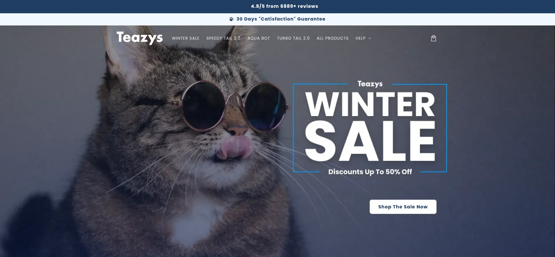 Website screenshot of Teazys.com