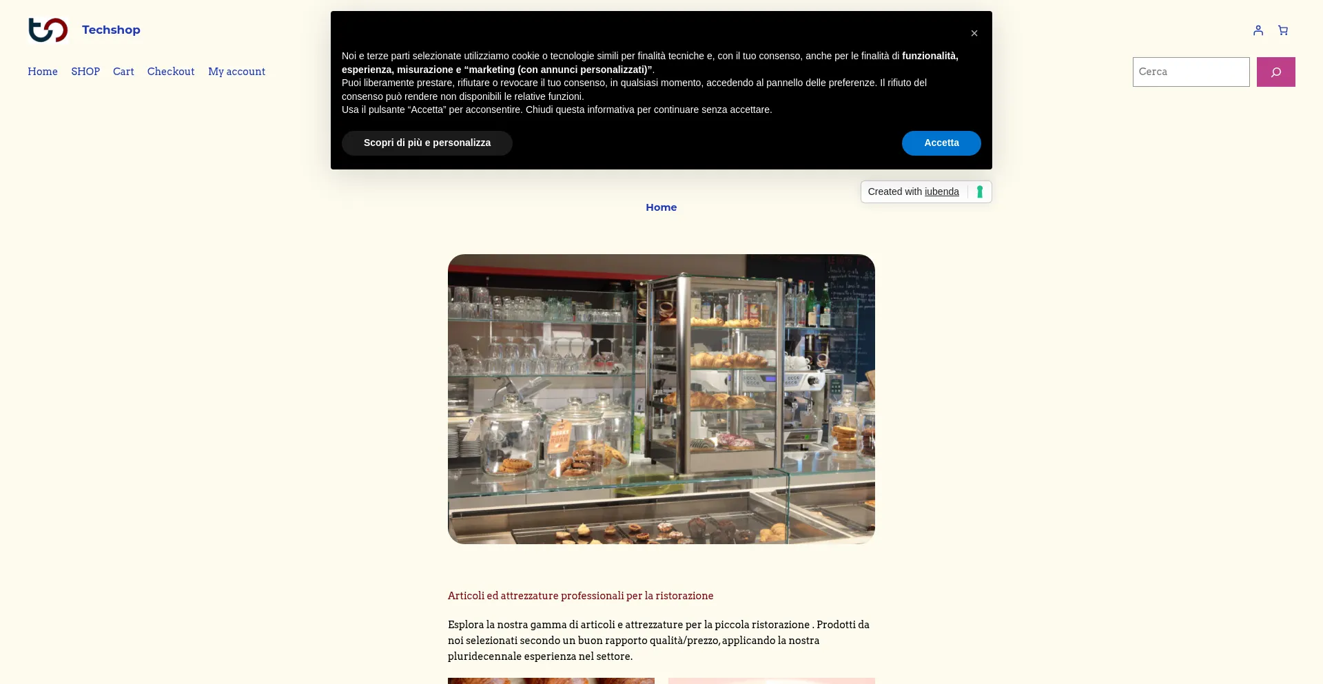 Website screenshot of Technoplaz.com