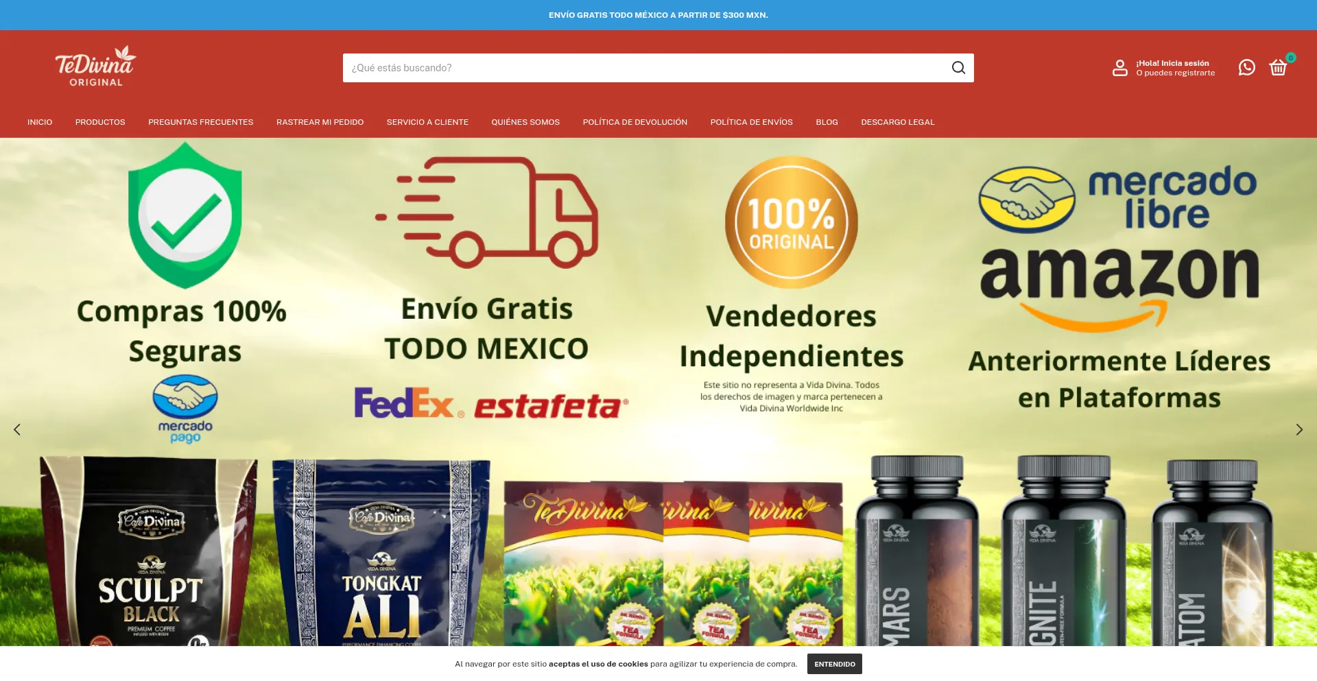 Website screenshot of Tedivinaoriginal.com.mx