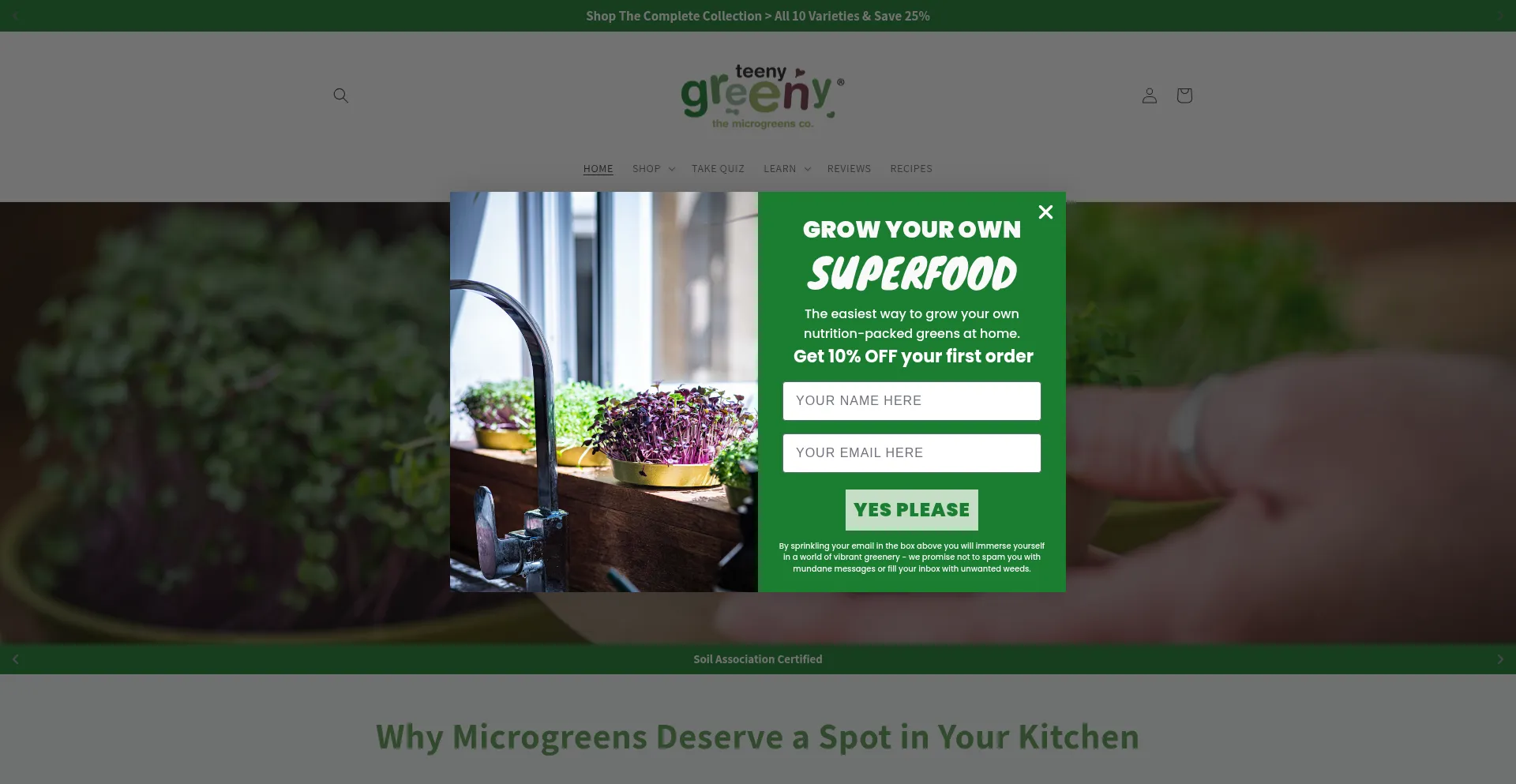 Teenygreeny.co.uk