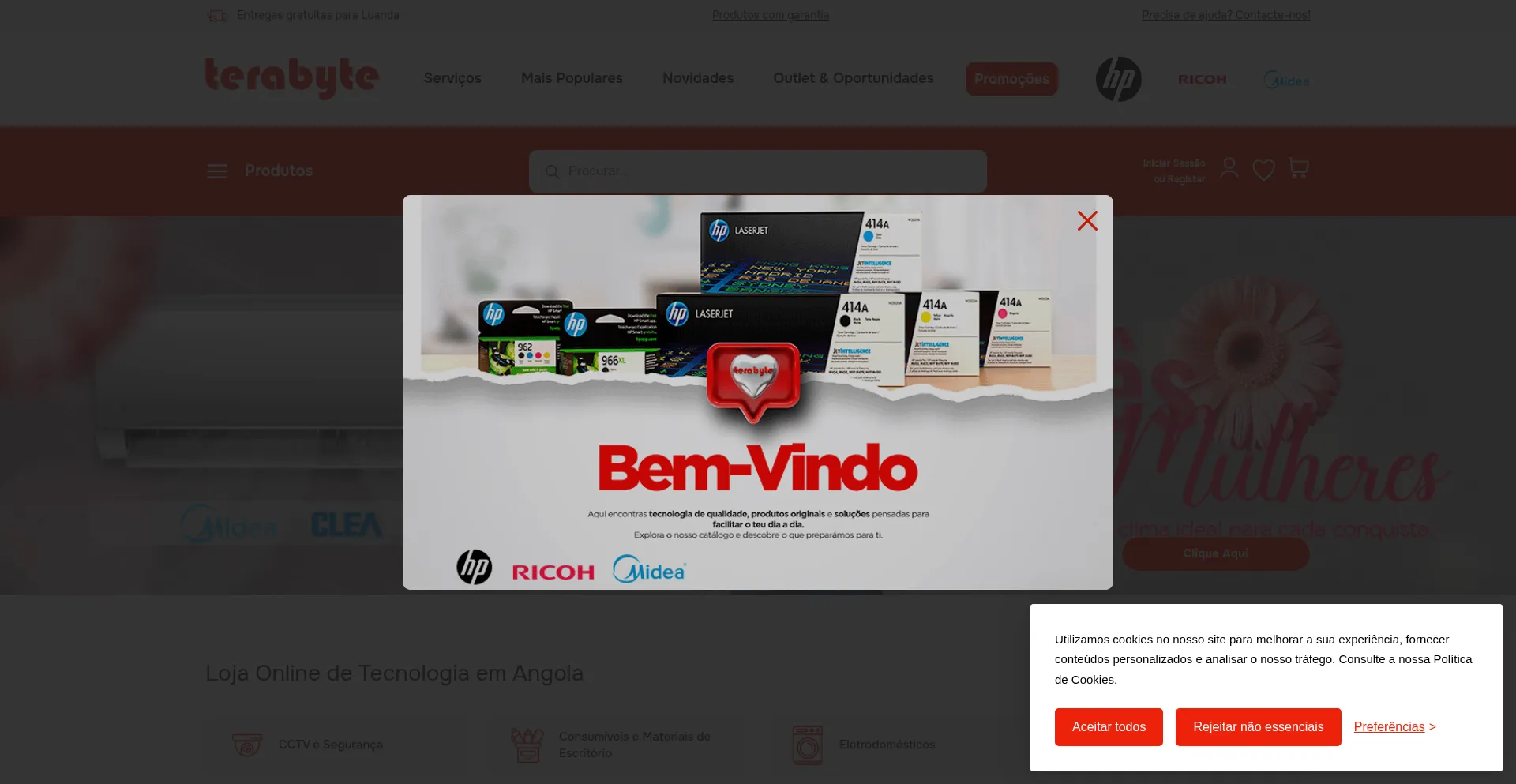 Terabyteangola.com