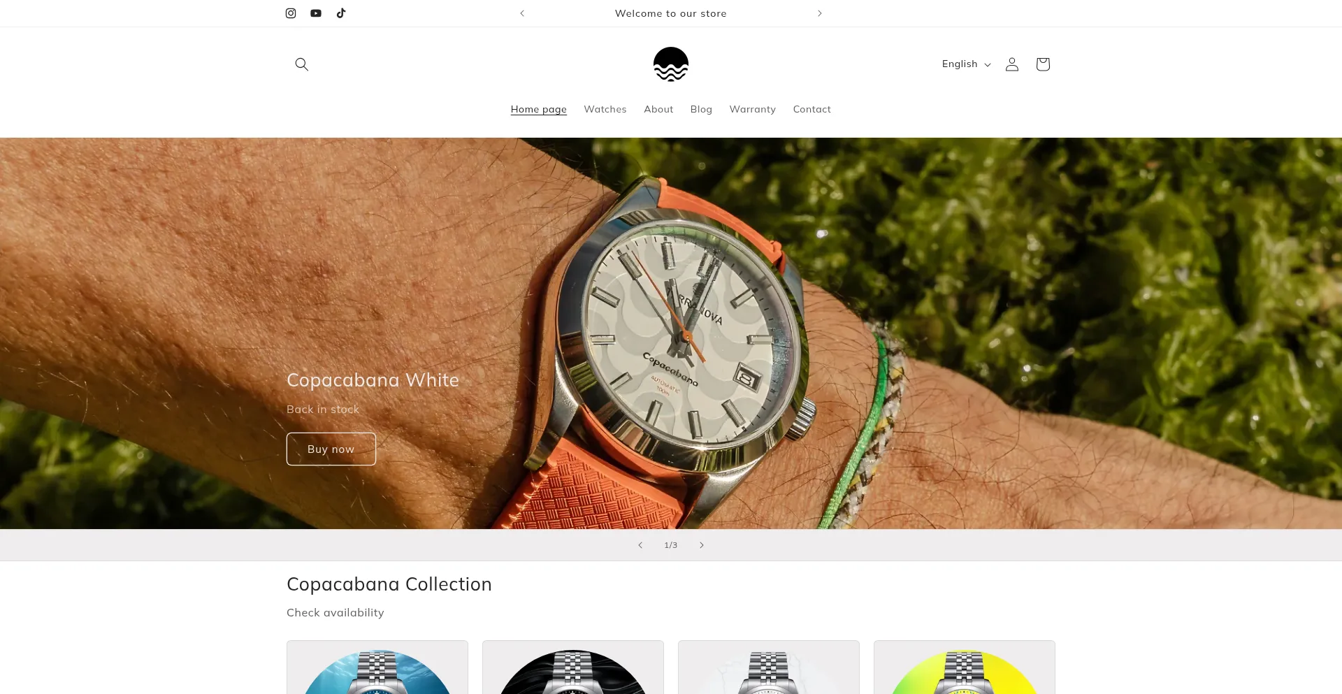 Website screenshot of Terranovawatches.com