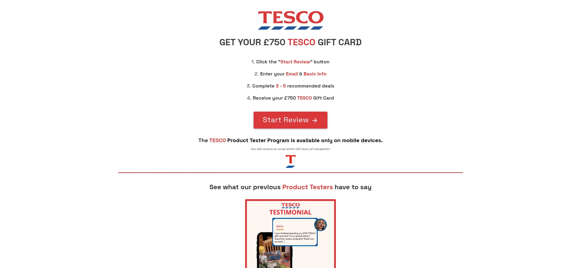 Website screenshot of Tes500.com