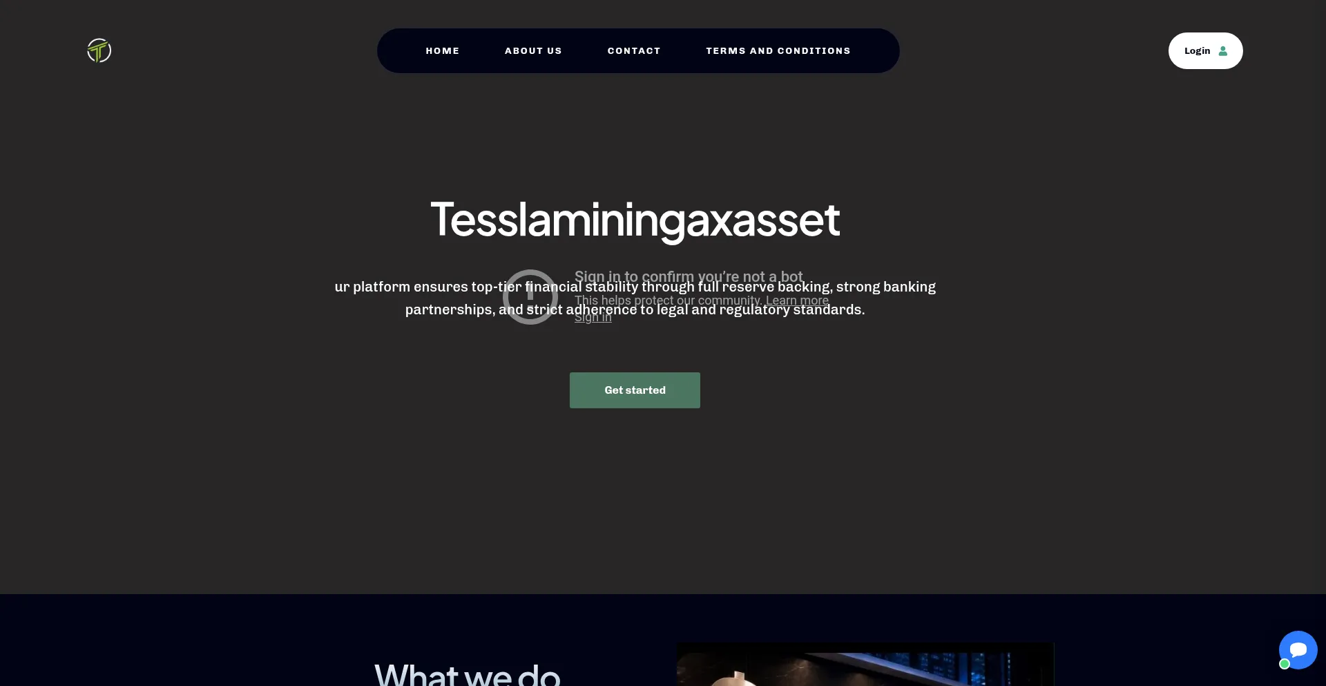 Teslaminingaxasset.com
