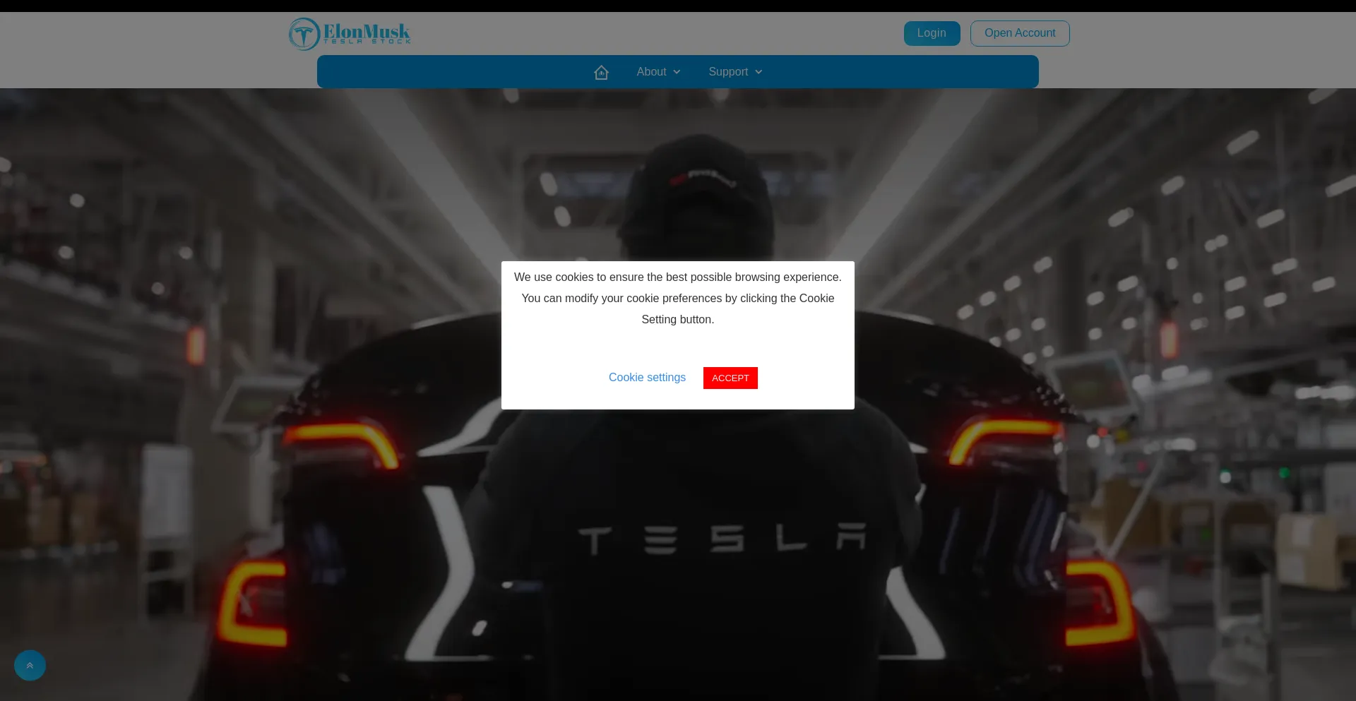 Teslasharesmax.com