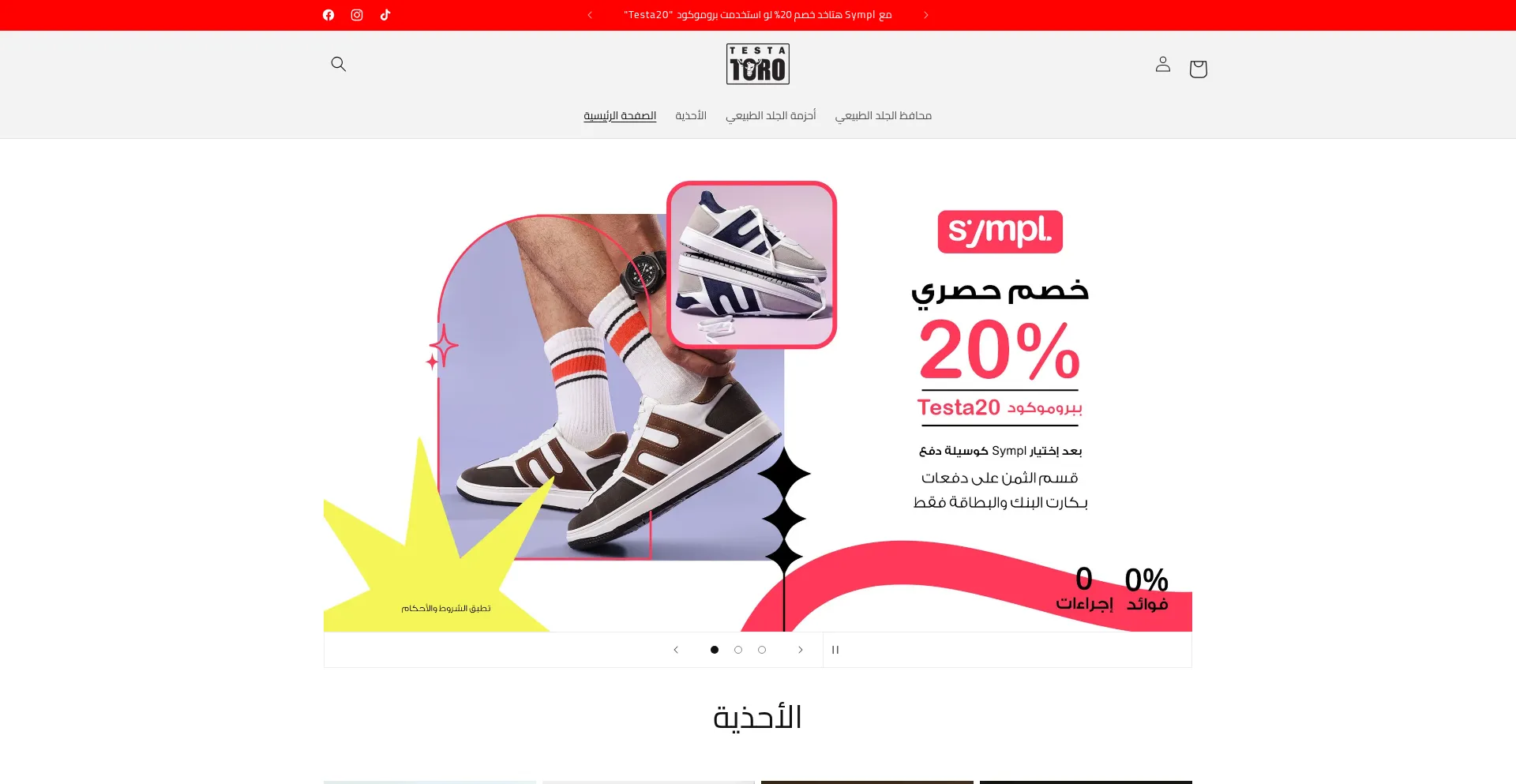 Website screenshot of Testatoro.com