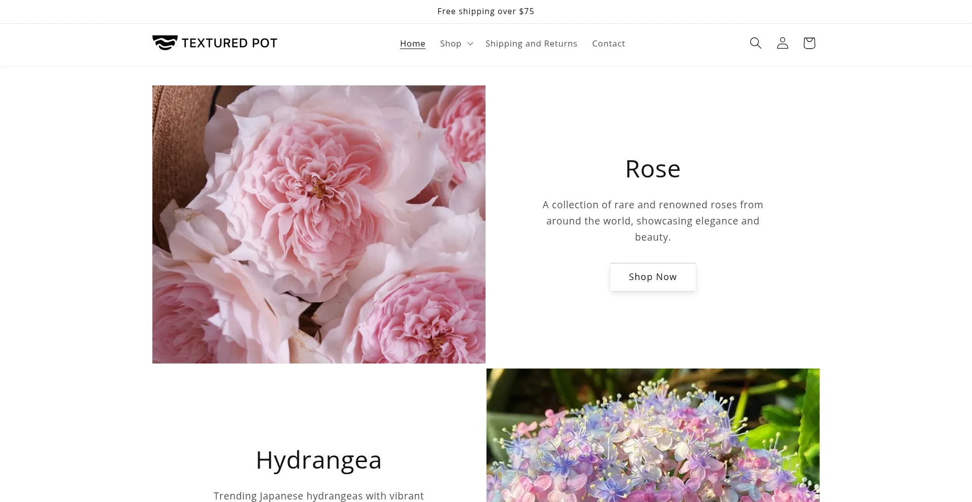 Website screenshot of Texturedpot.com