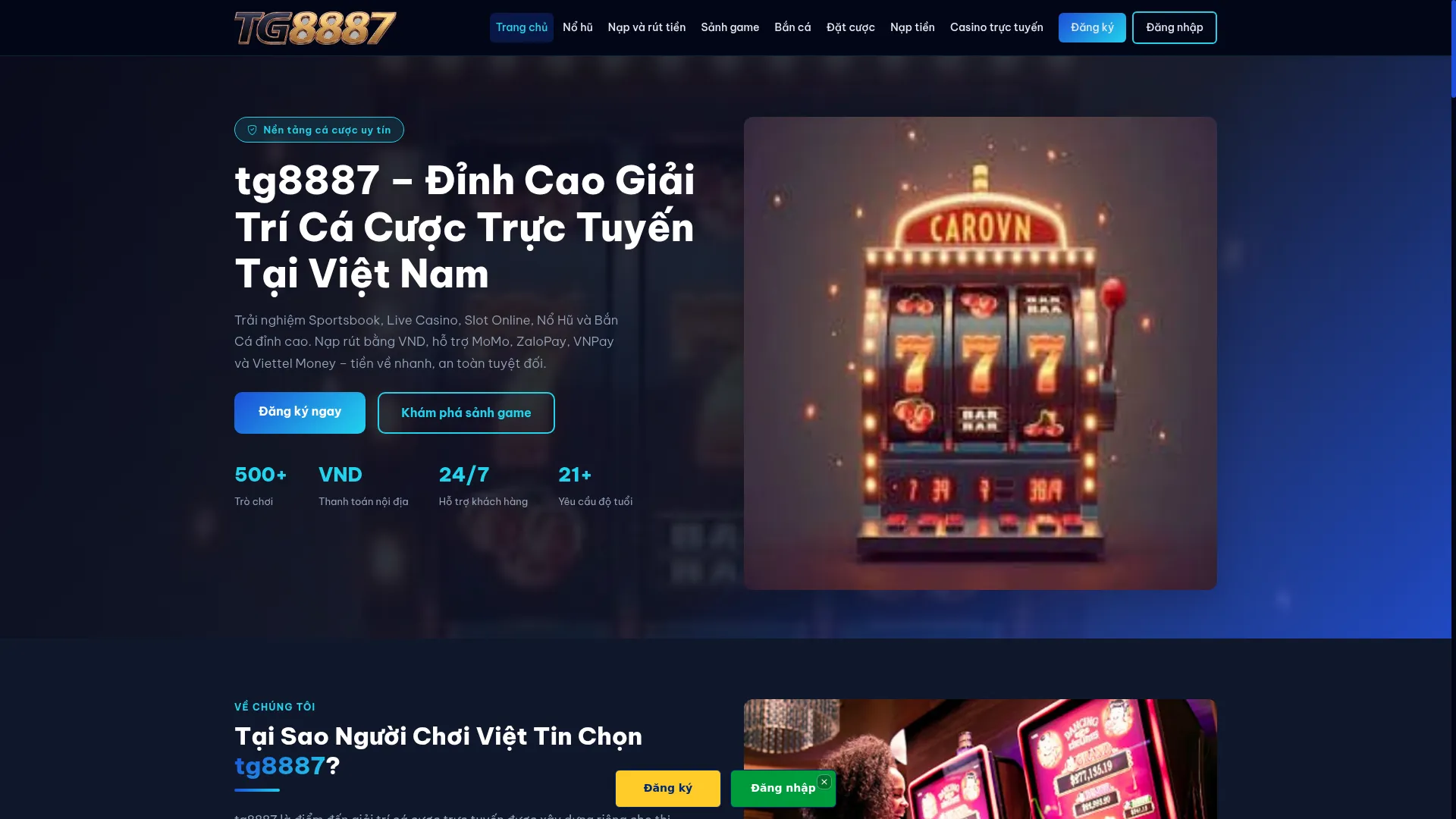 Tg8887.xyz