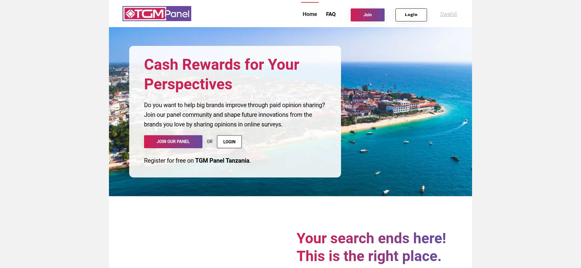 Website screenshot of Tgmpanel.tz