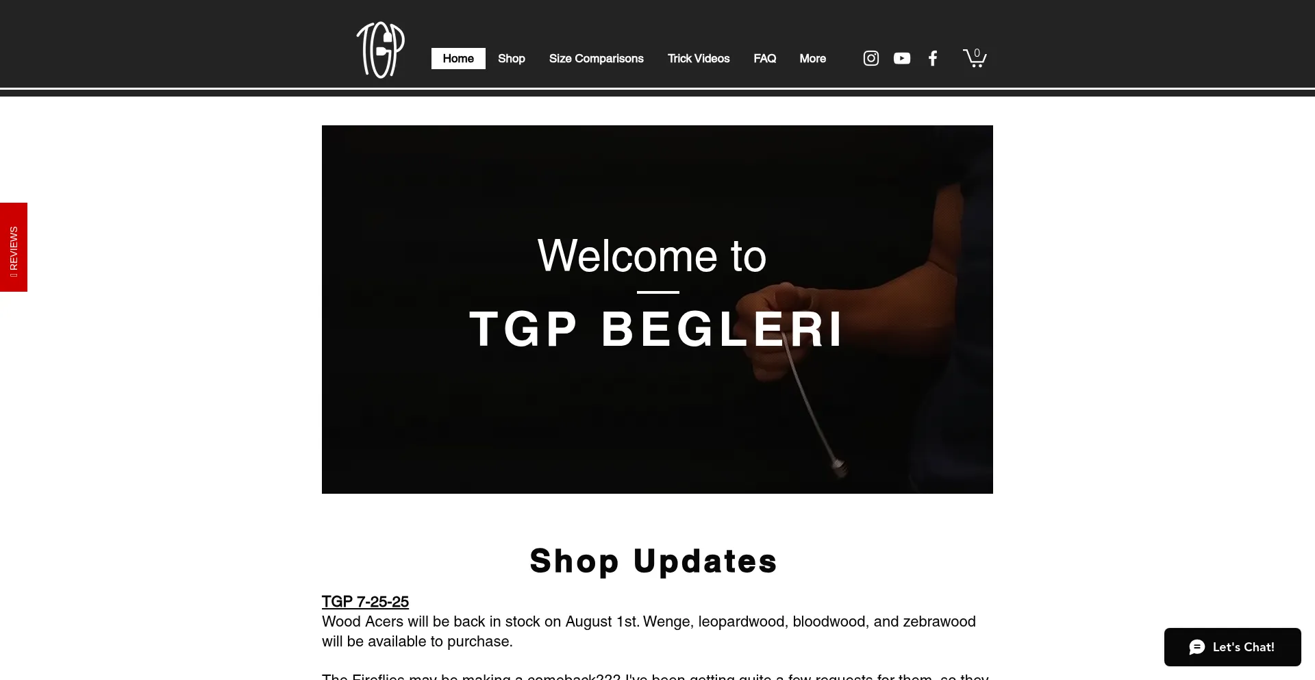 Website screenshot of Tgpbegleri.com