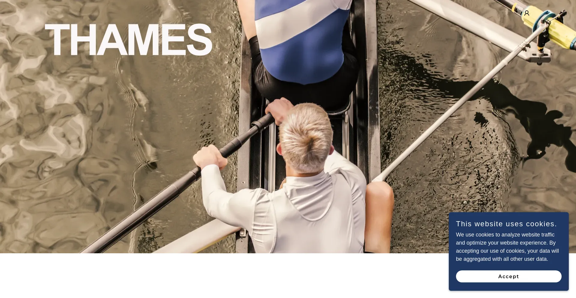 Website screenshot of Thames.ai
