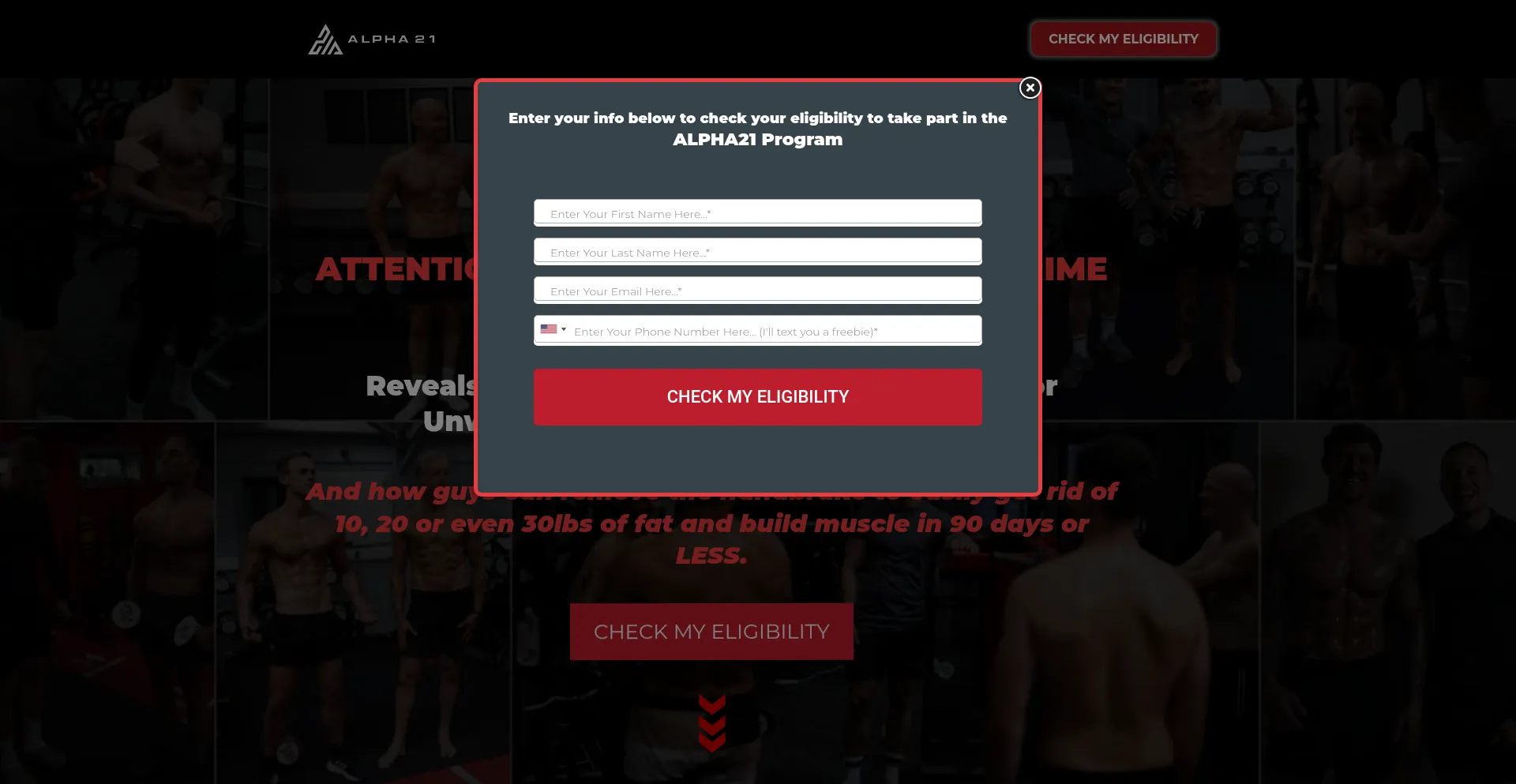 Website screenshot of Thealpha21.com