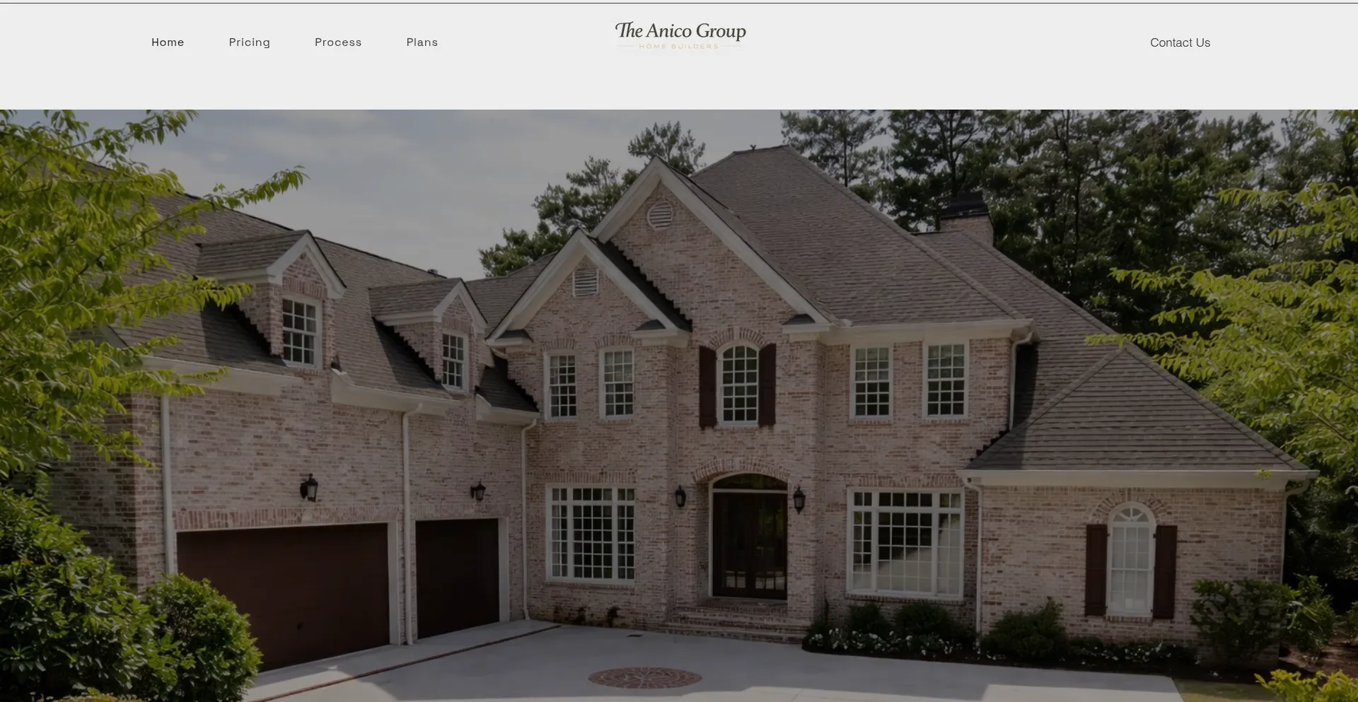 Theanicogroup.com