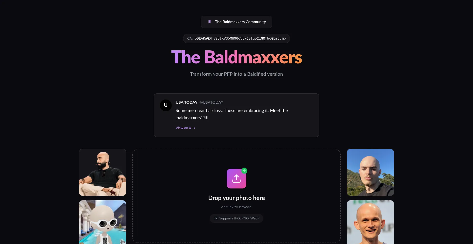 Thebaldmaxxers.com