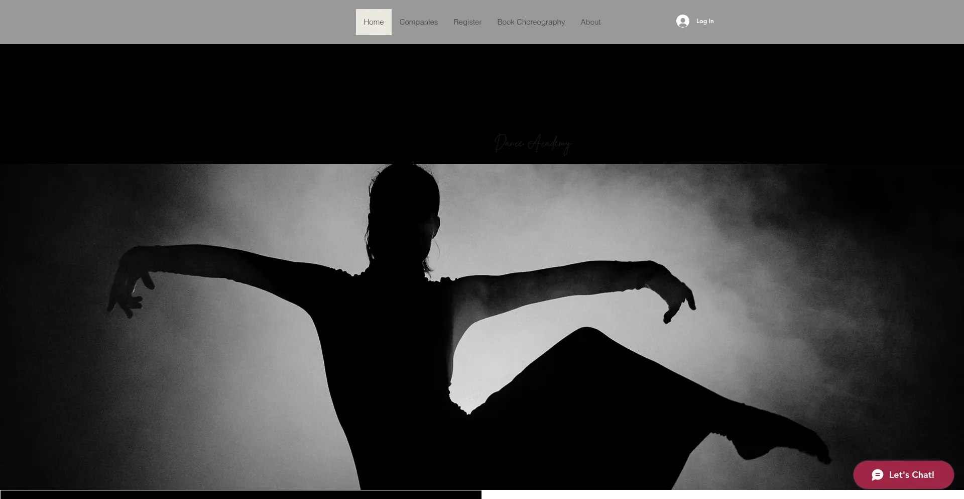 Website screenshot of Thebarredanceacademy.com