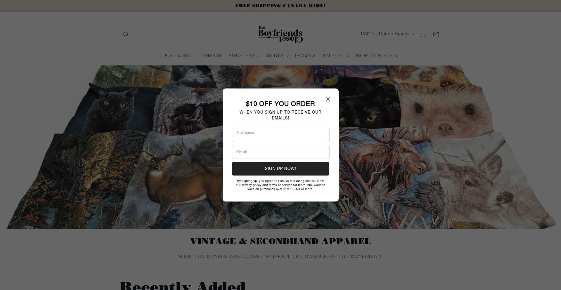 Website screenshot of Thebfscloset.ca