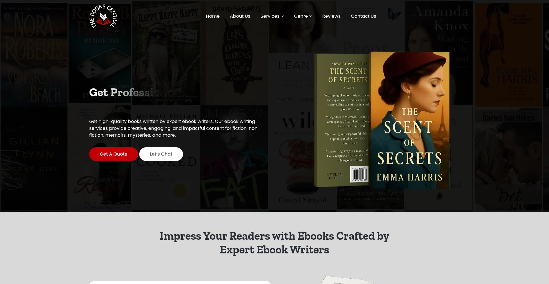 Website screenshot of Thebookscentral.com