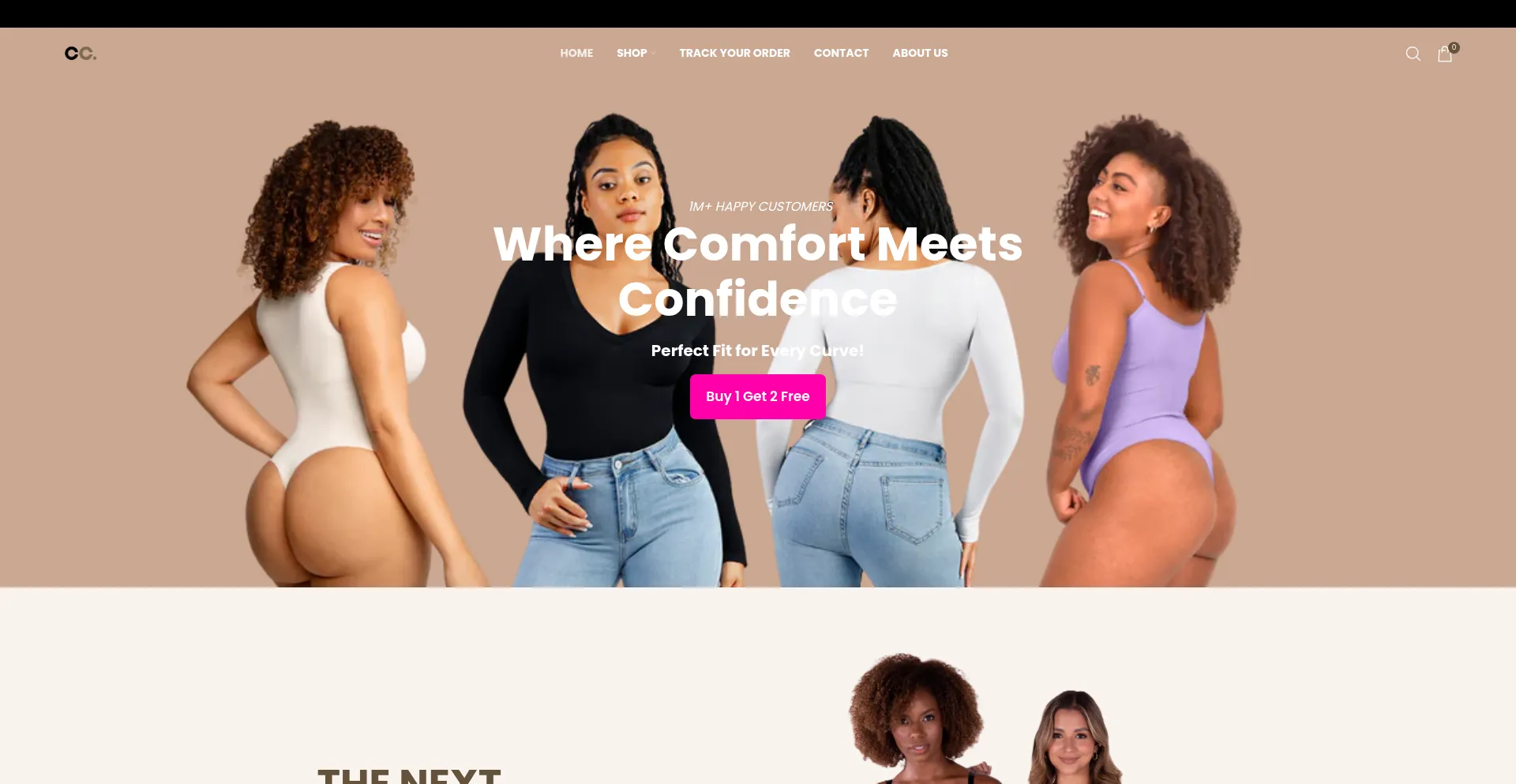 Website screenshot of Thecomfyyco.us