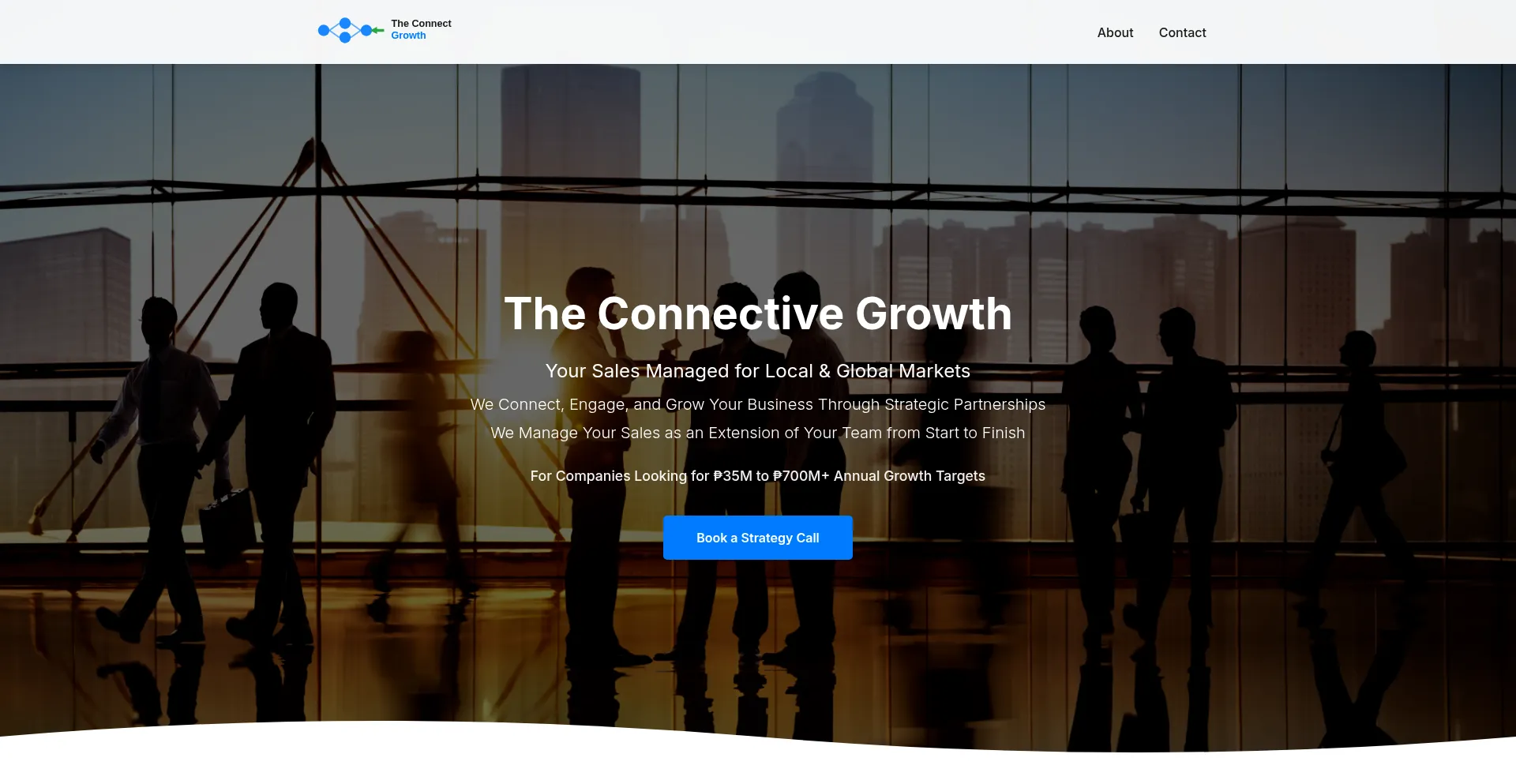 Theconnectivegrowth.com