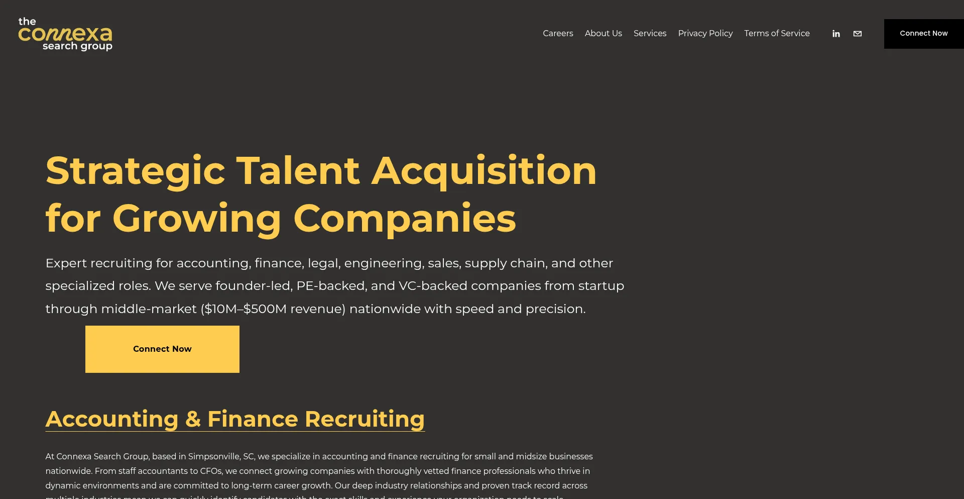 Website screenshot of Theconnexasearchgroup.com