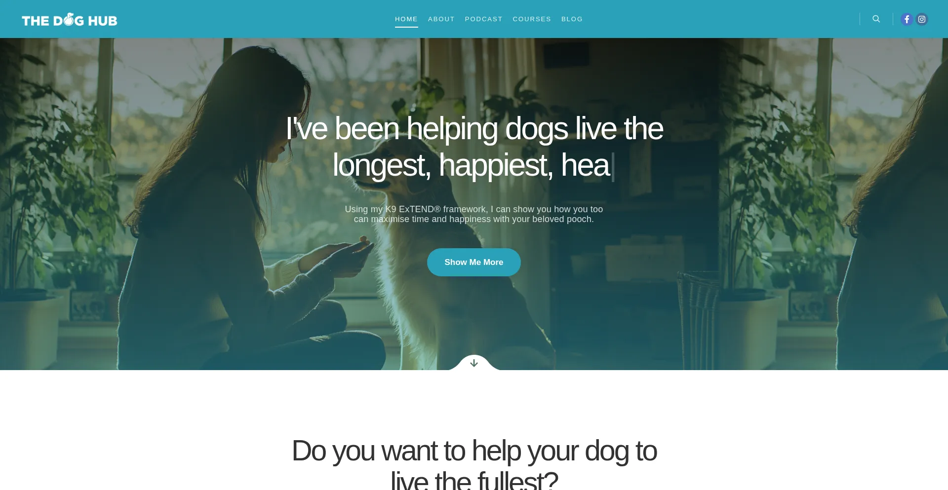 Thedoghub.com