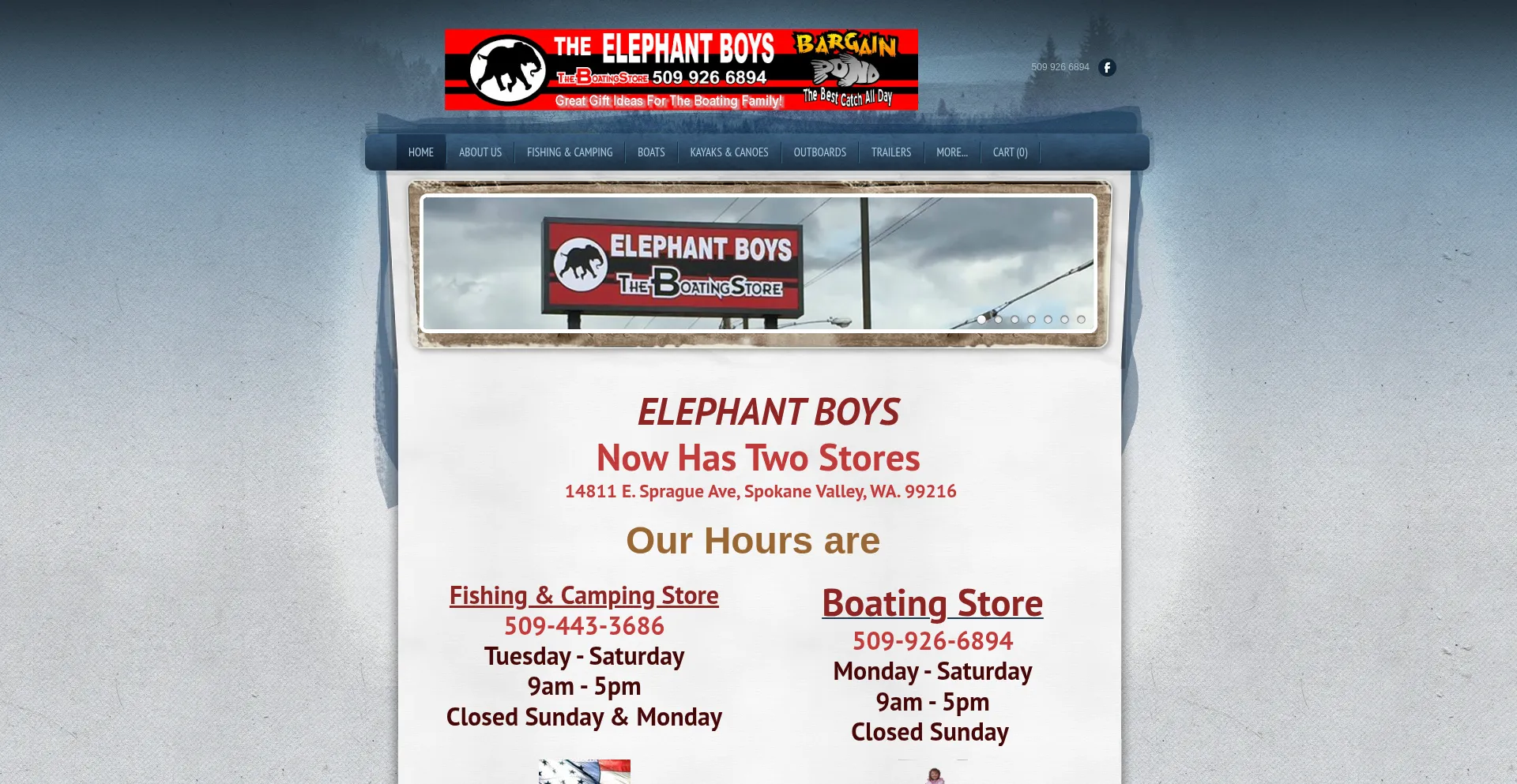 Theelephantboys.com est-il Sûr et Fiable ?
