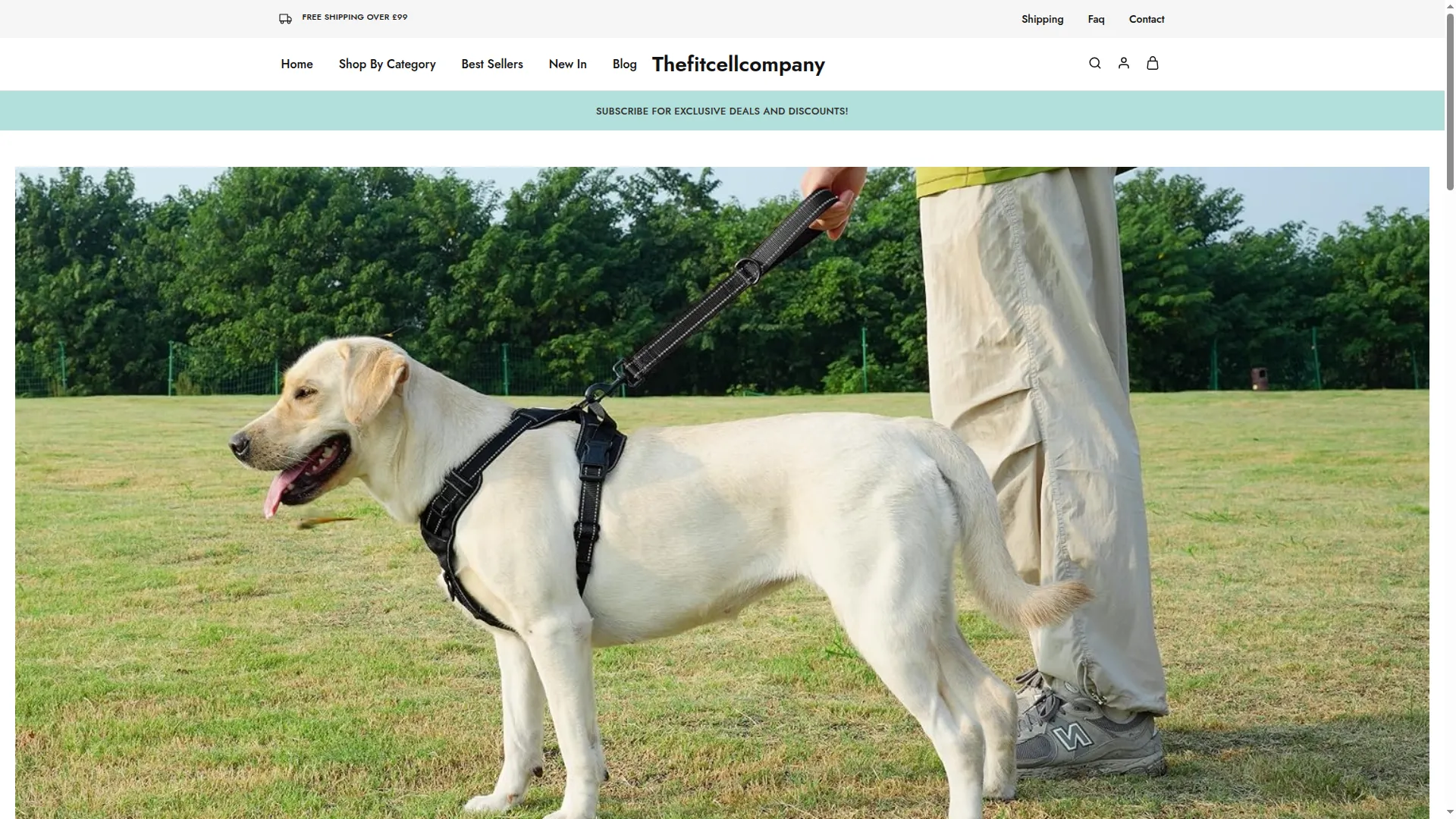 Thefitcellcompany.co.uk