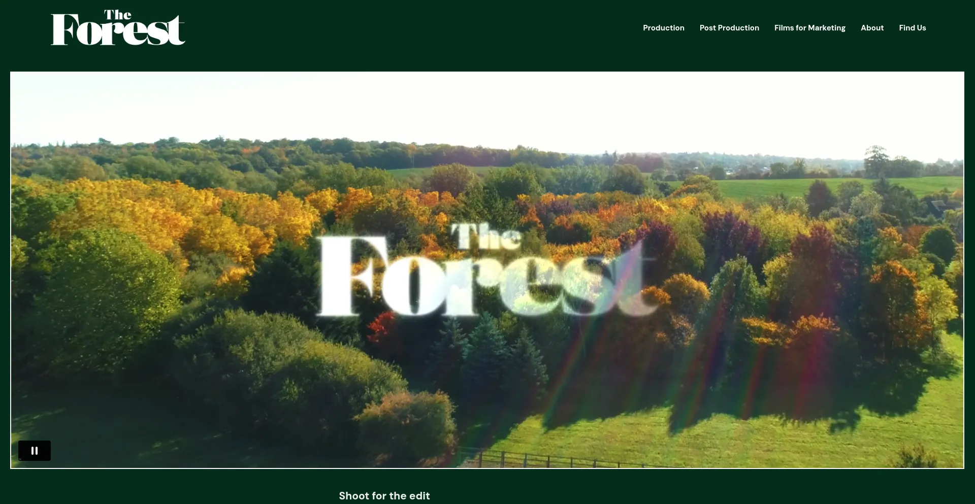 Theforest.tv