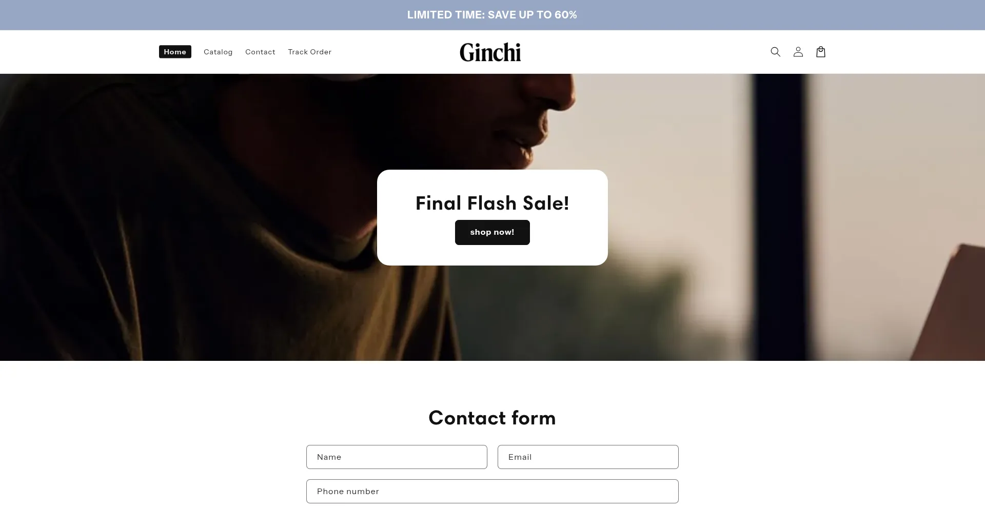 Website screenshot of Theginchi.com