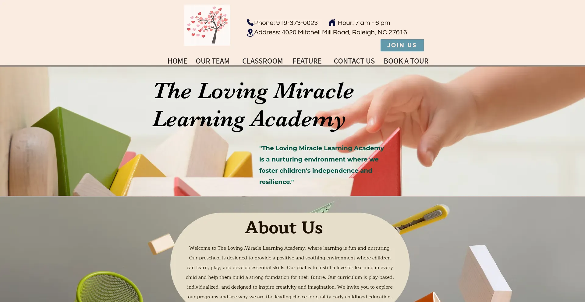 Website screenshot of Thelovingmiracle.com