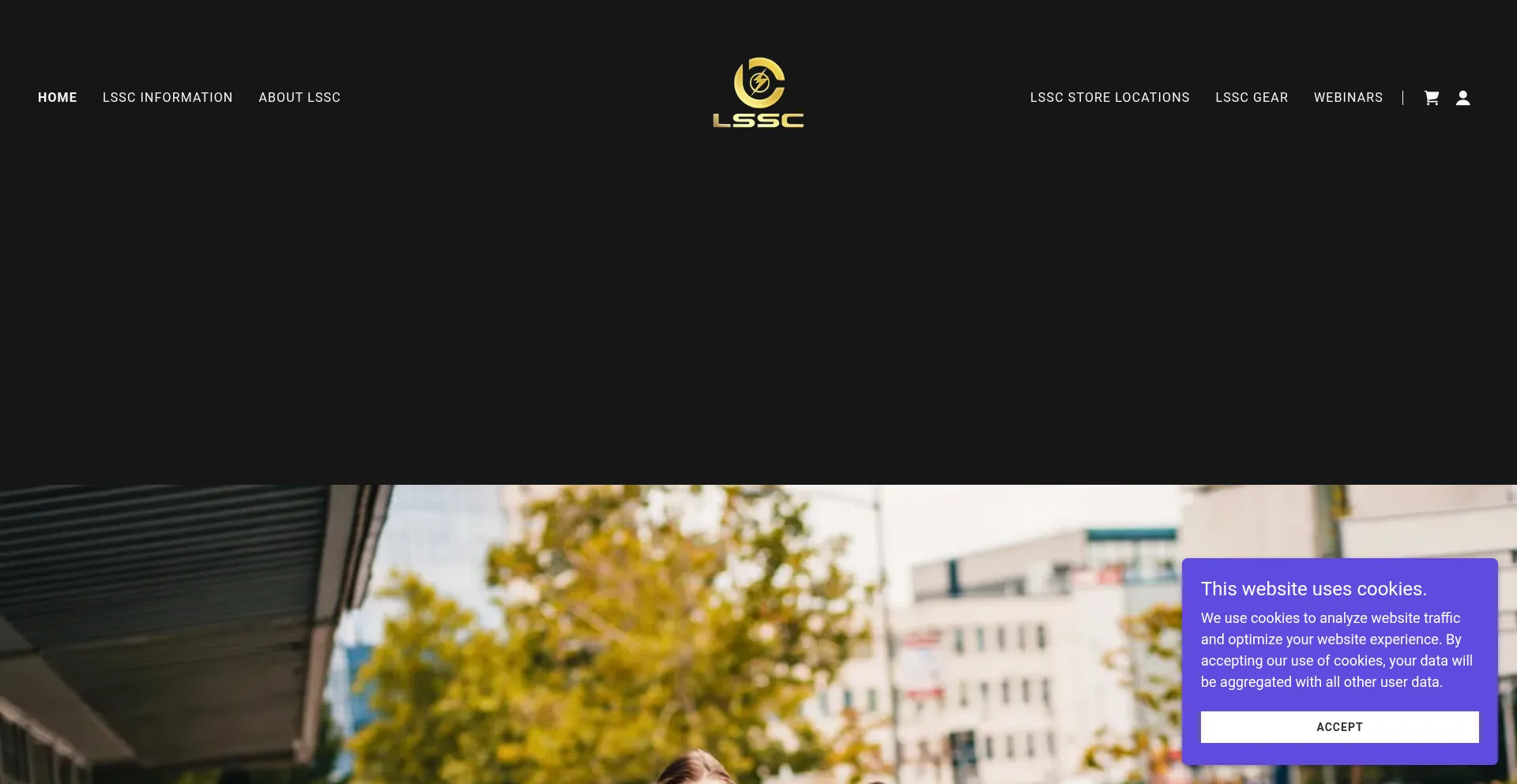 Website screenshot of Thelssc.com