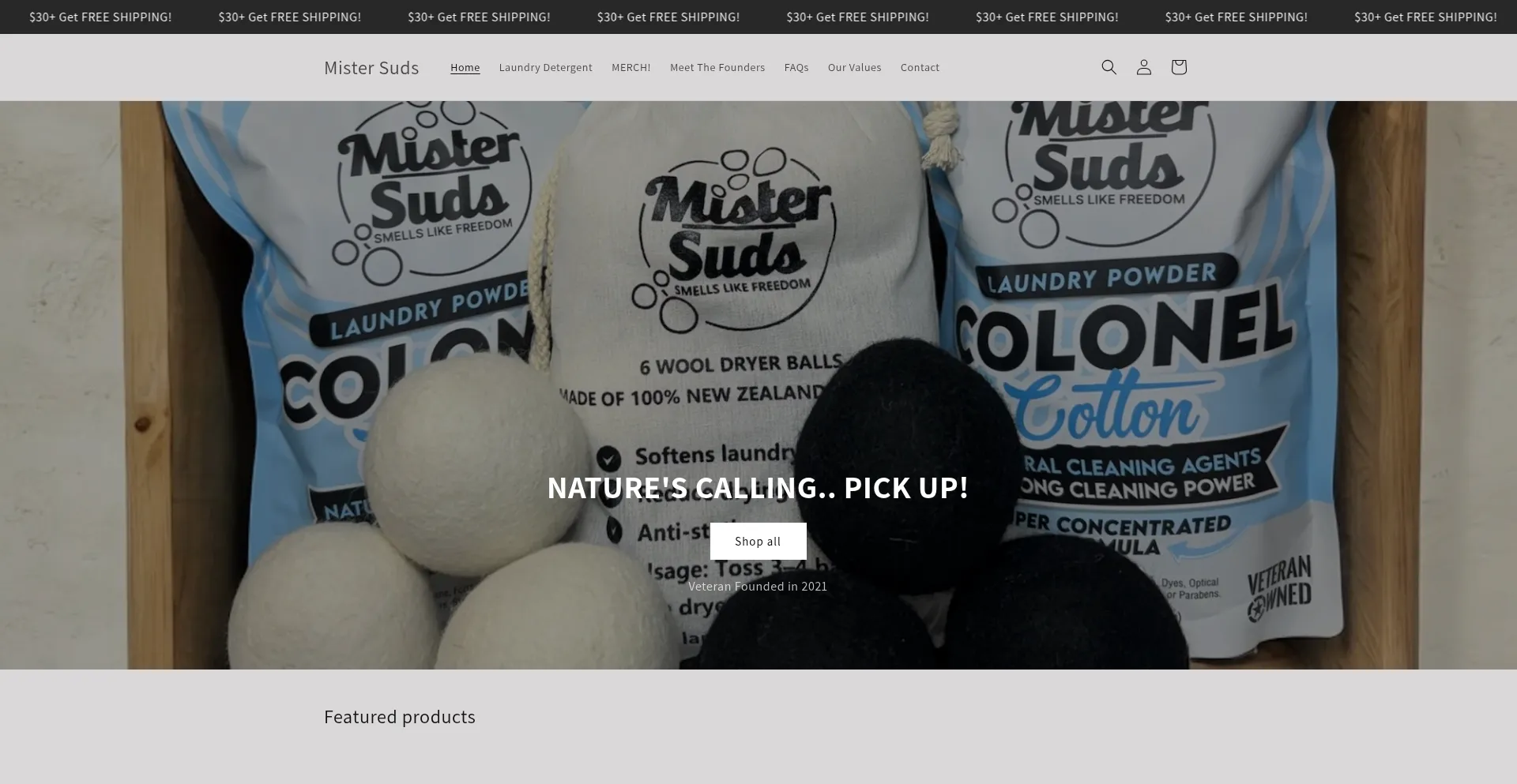 Website screenshot of Themistersuds.com