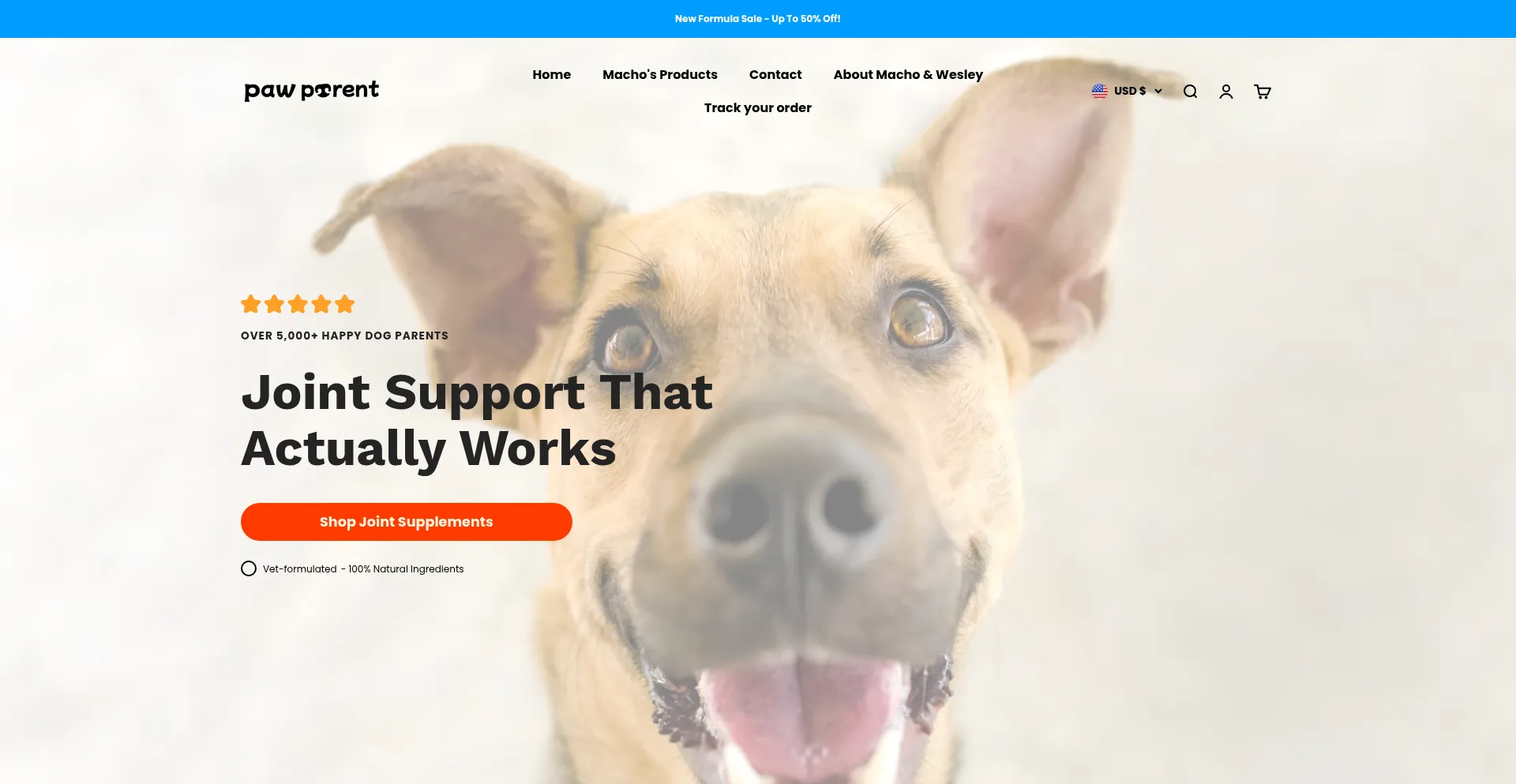 Thepawparent.com