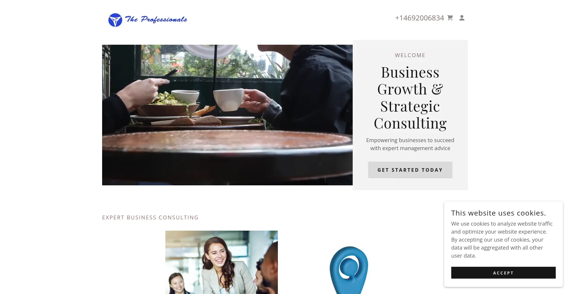 Theprofessionals.us