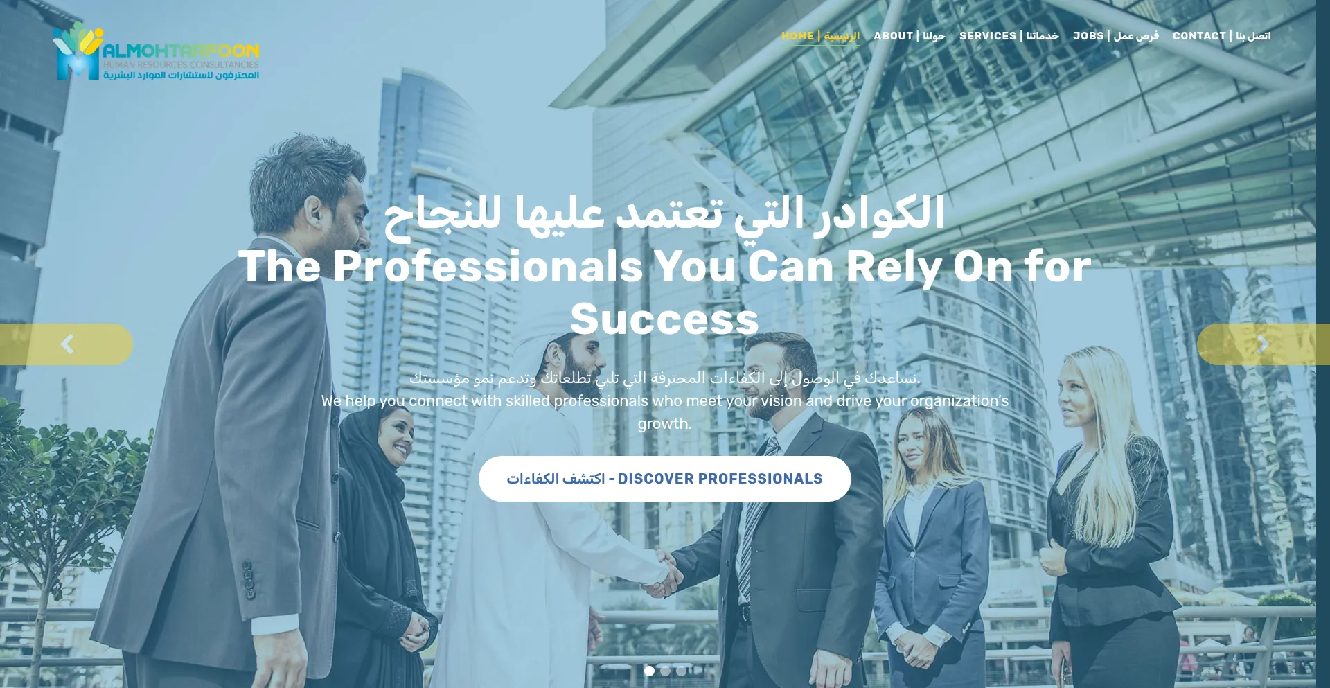 Theprohrdubai.com