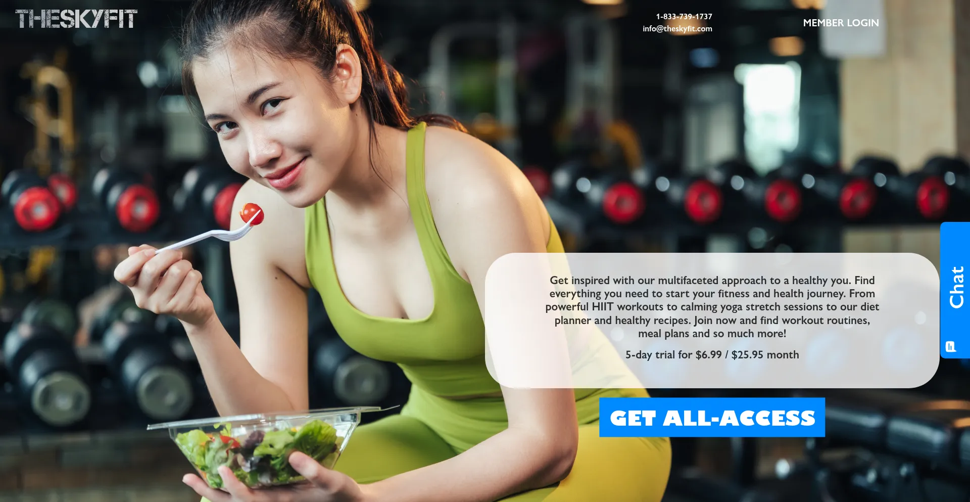 Website screenshot of Theskyfit.com