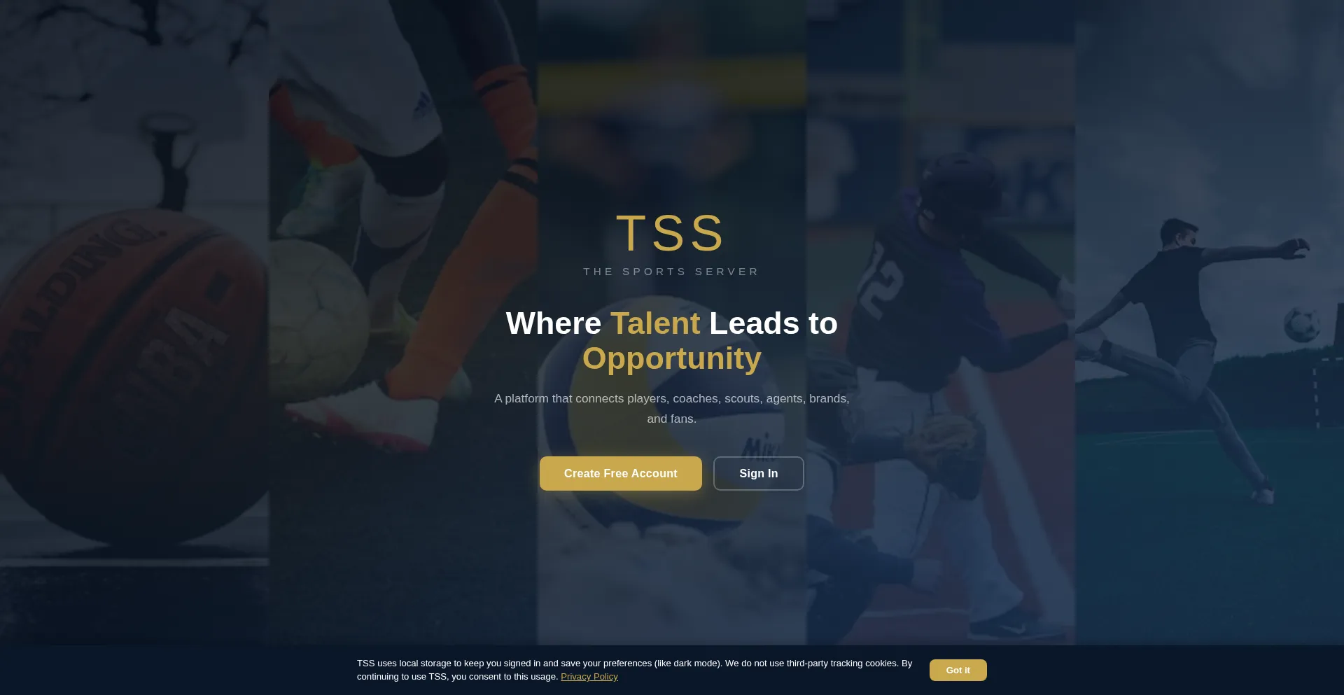 Thesportsserver.com