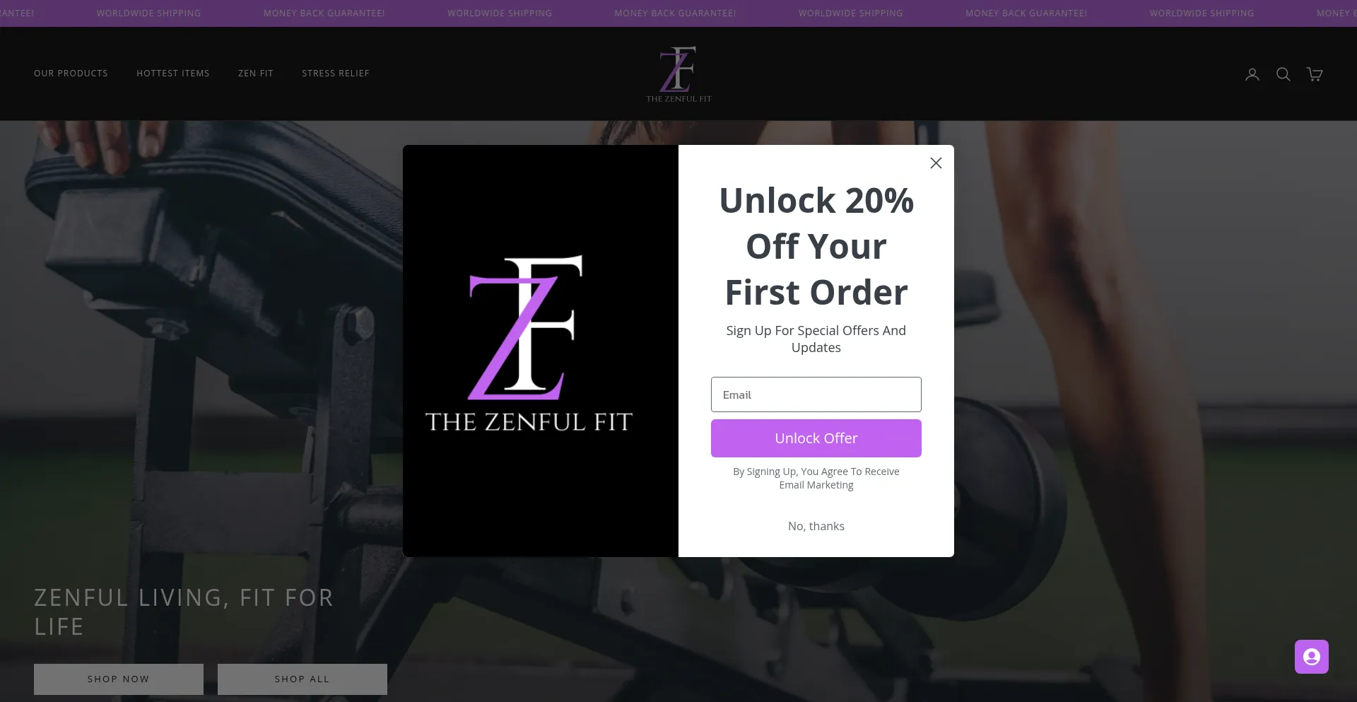 Thezenfulfit.com Screenshot