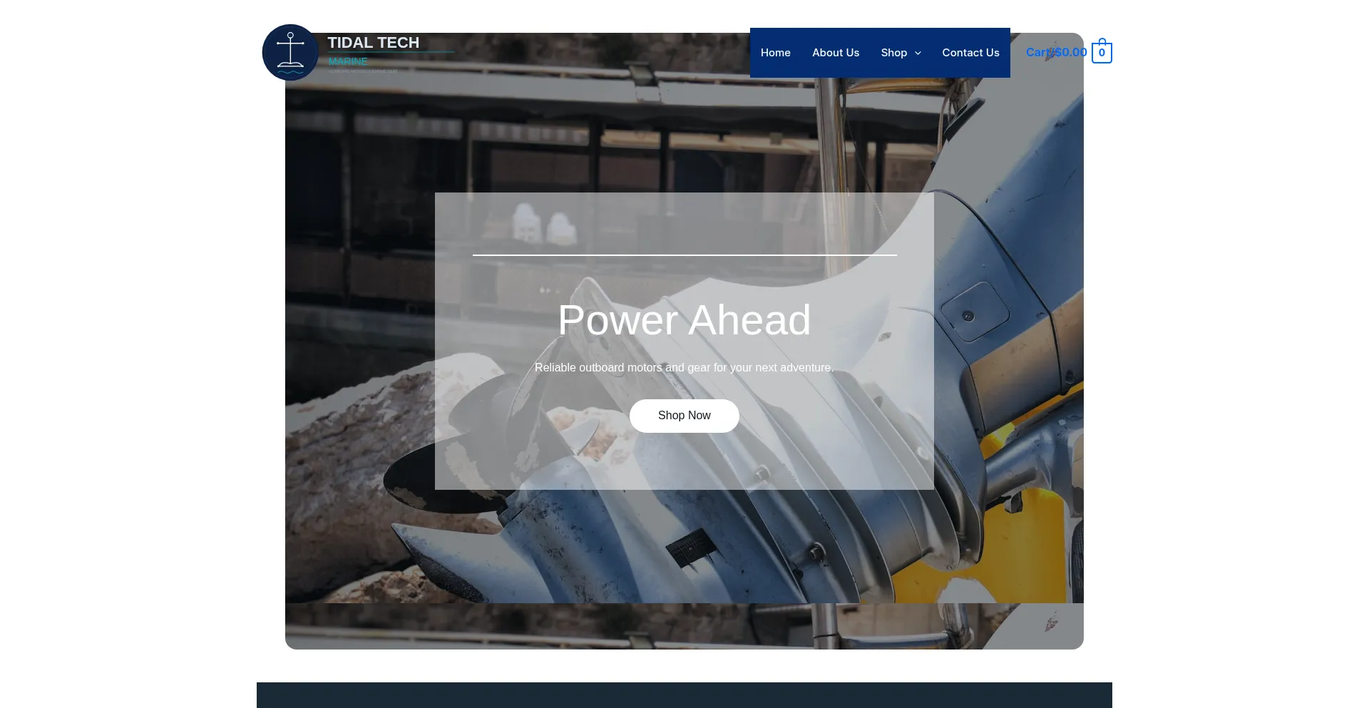 Tidaltechmarine.com