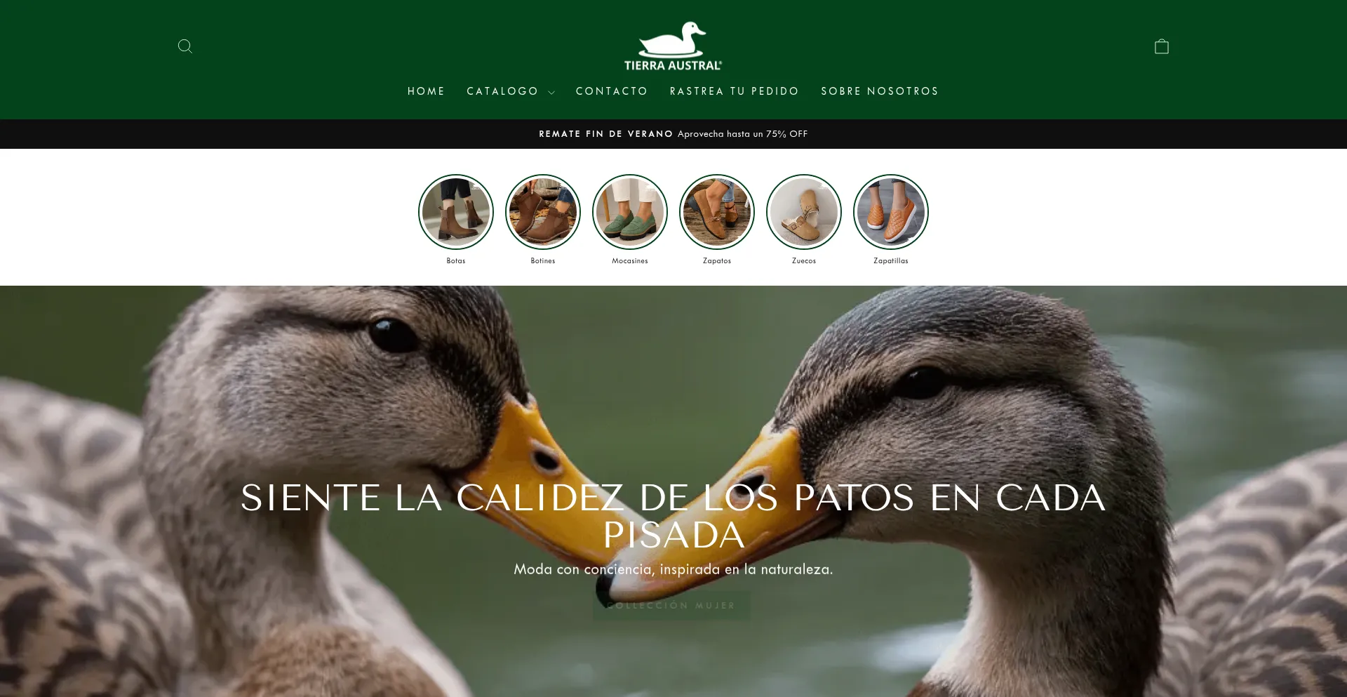 Website screenshot of Tierraaustralchile.com
