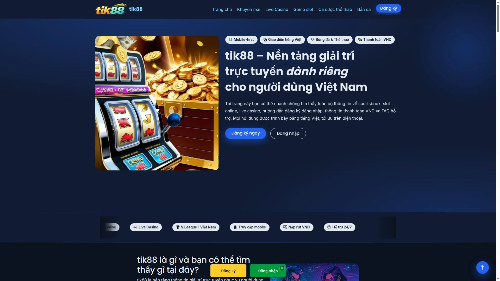 Tik88.biz