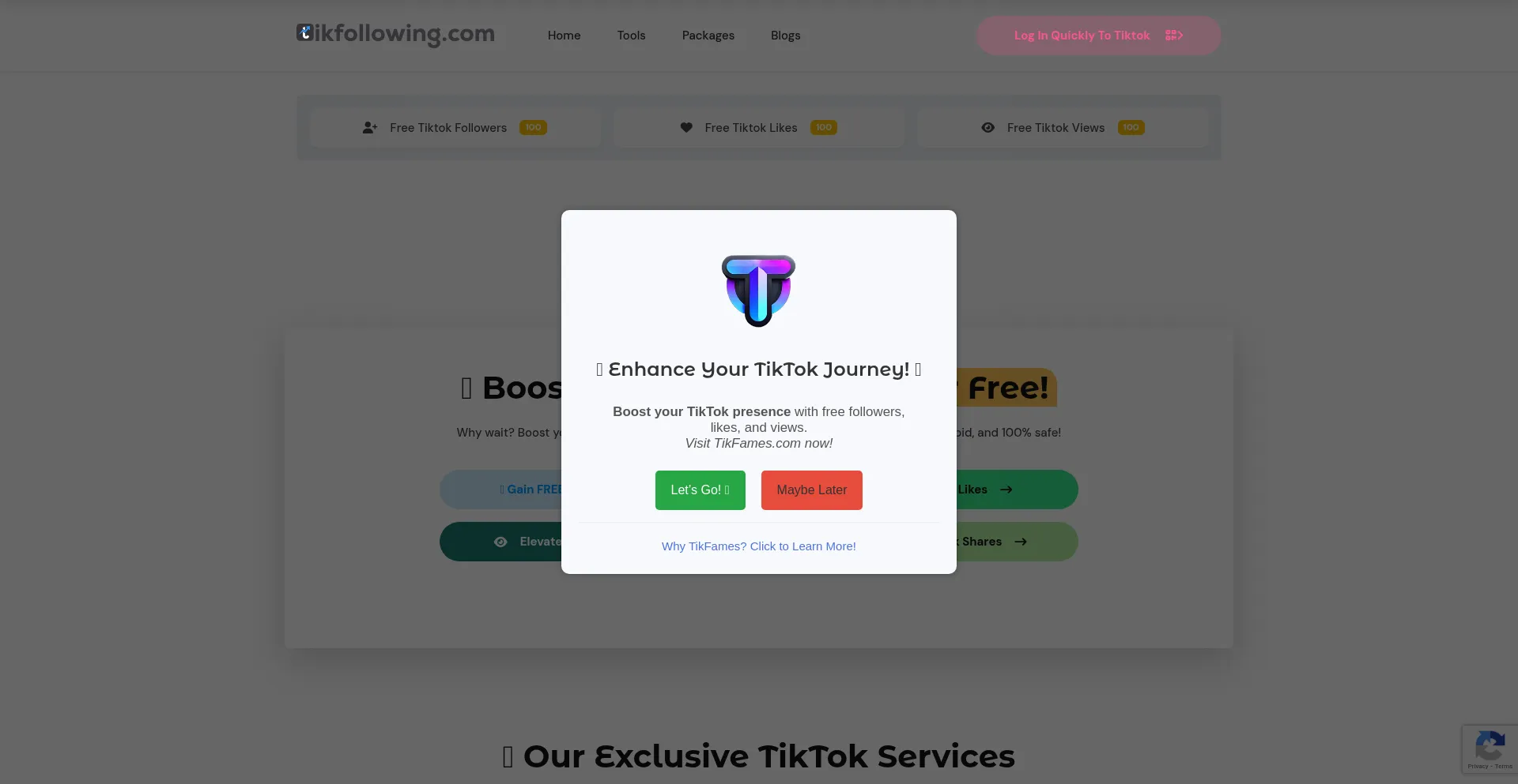 Website screenshot of Tikfollowing.com