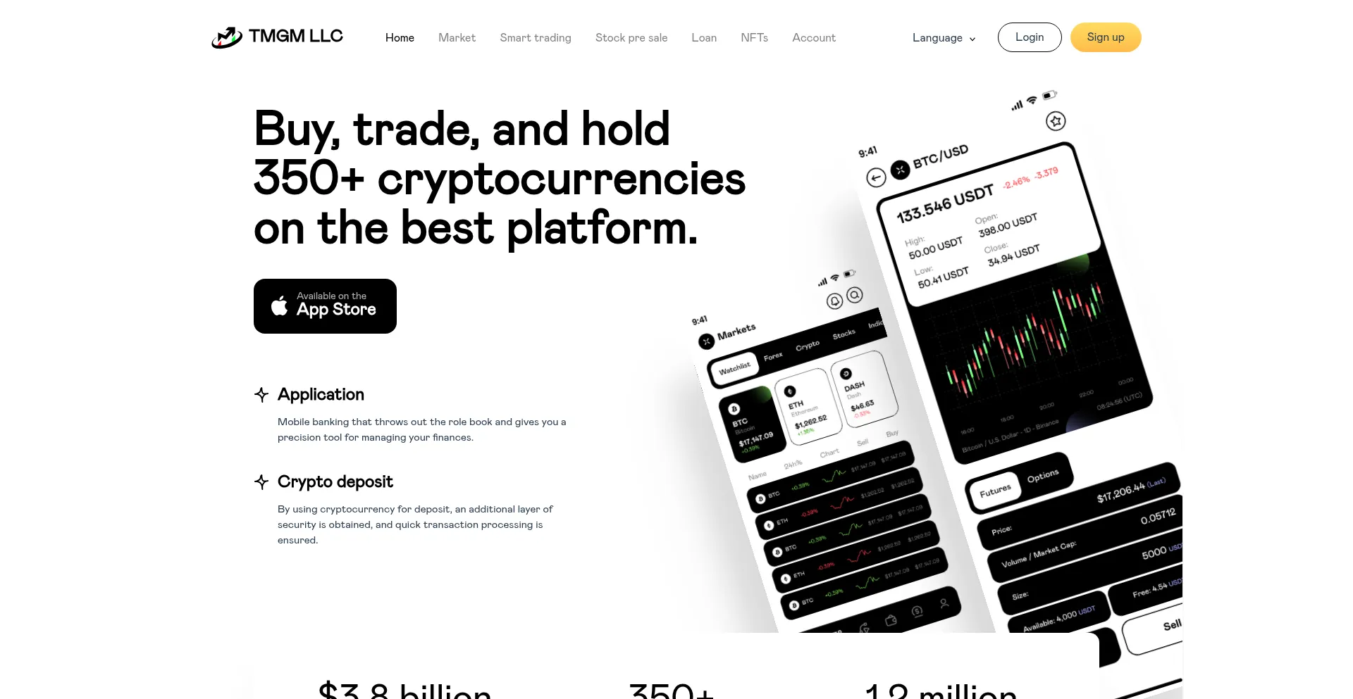Website screenshot of Tmgm-llc.net